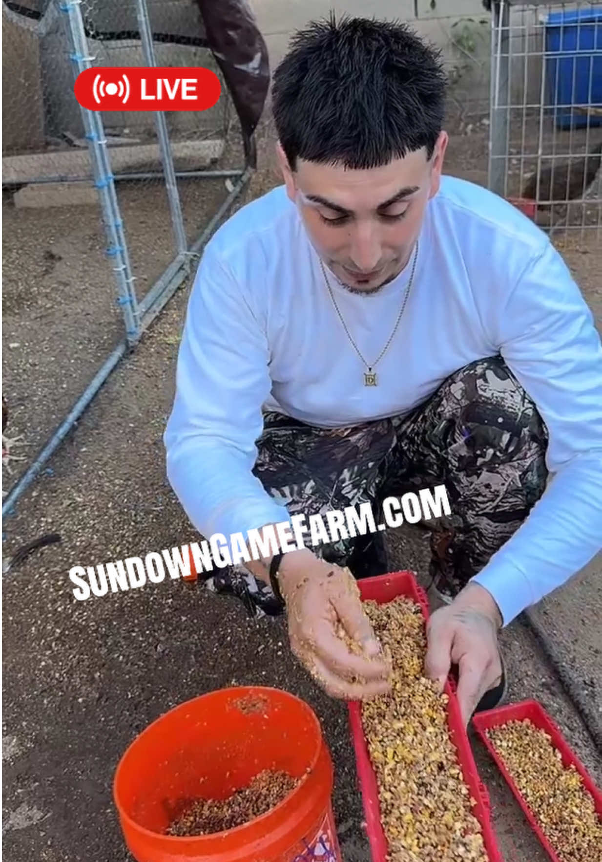 @Sundown Game Farm