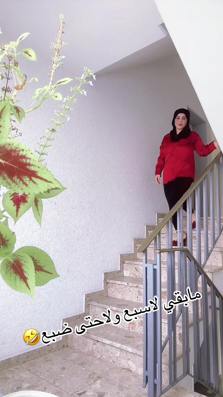 @🦅الأسطورة الحرة🦅