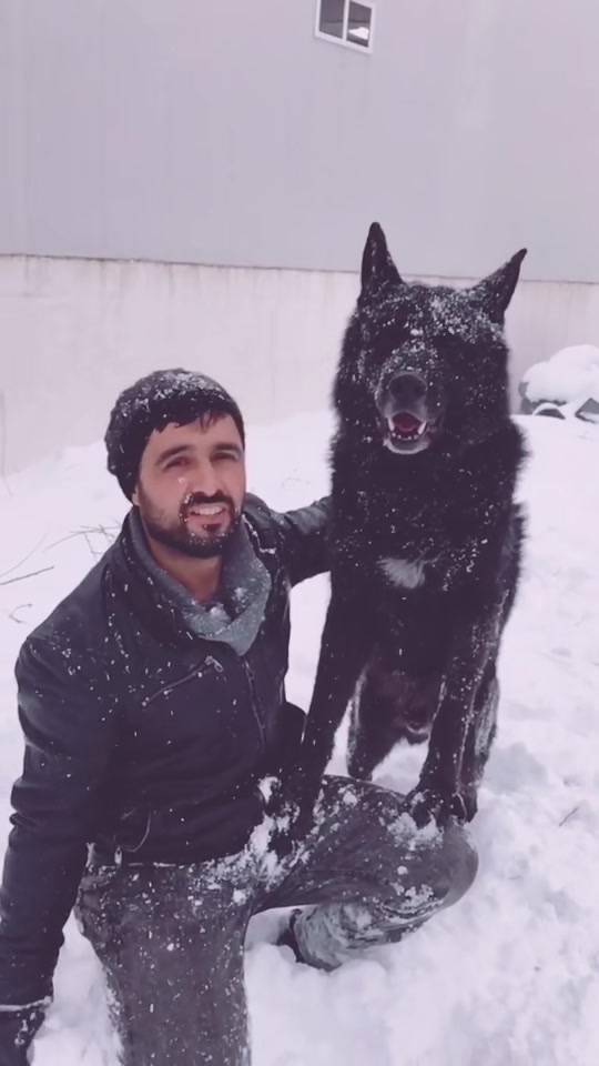 @Serkan