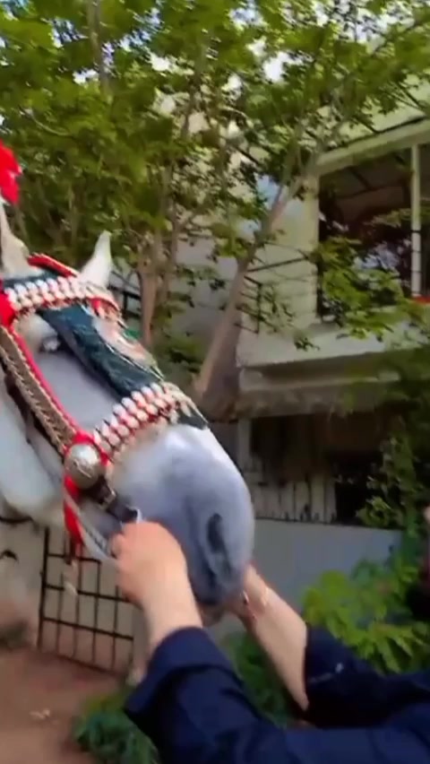 @Qasim malik