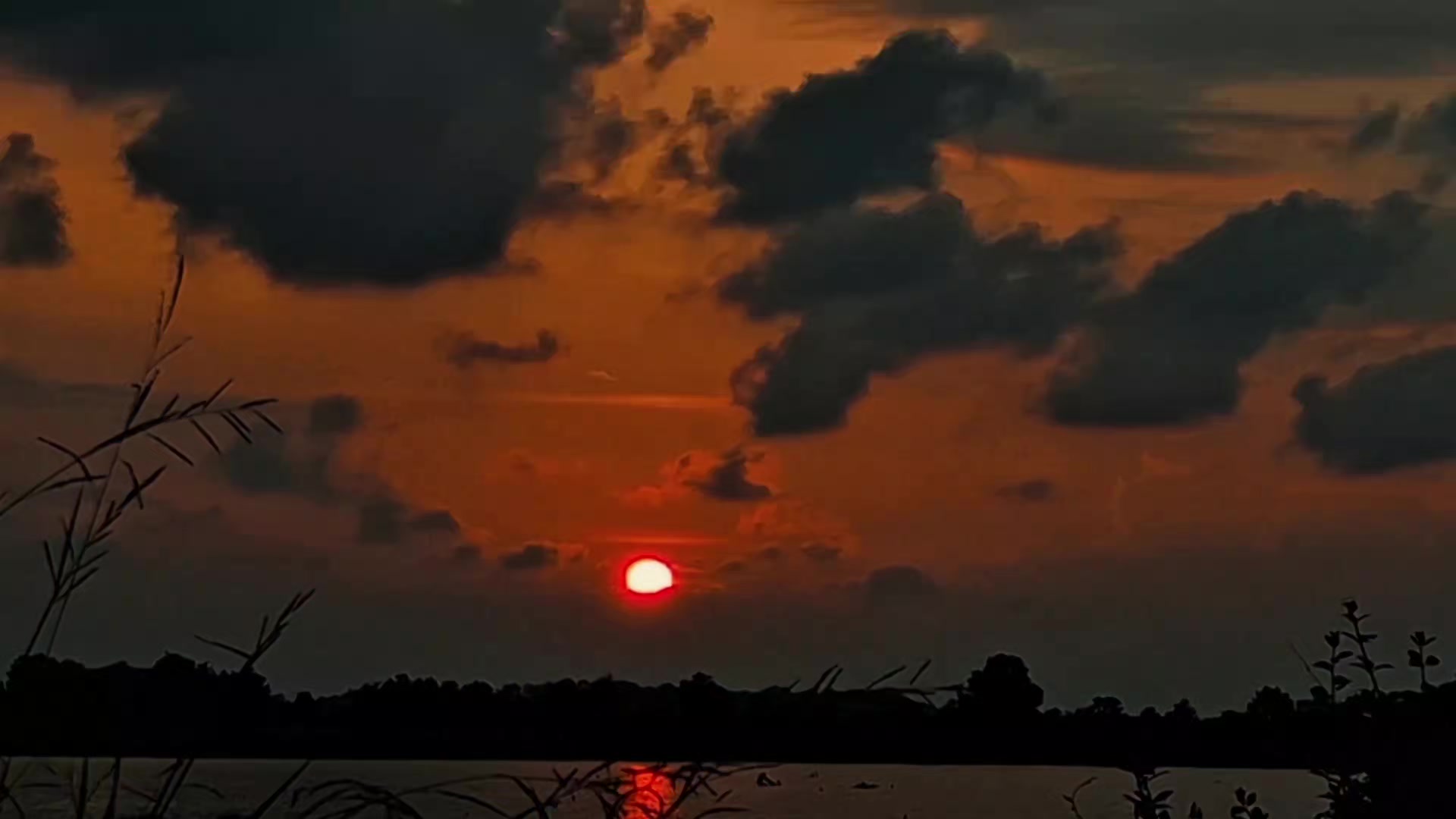 @𝑅𝒶𝒹𝒾𝑜 𝑀𝓊𝓈𝒾𝒸 🎶