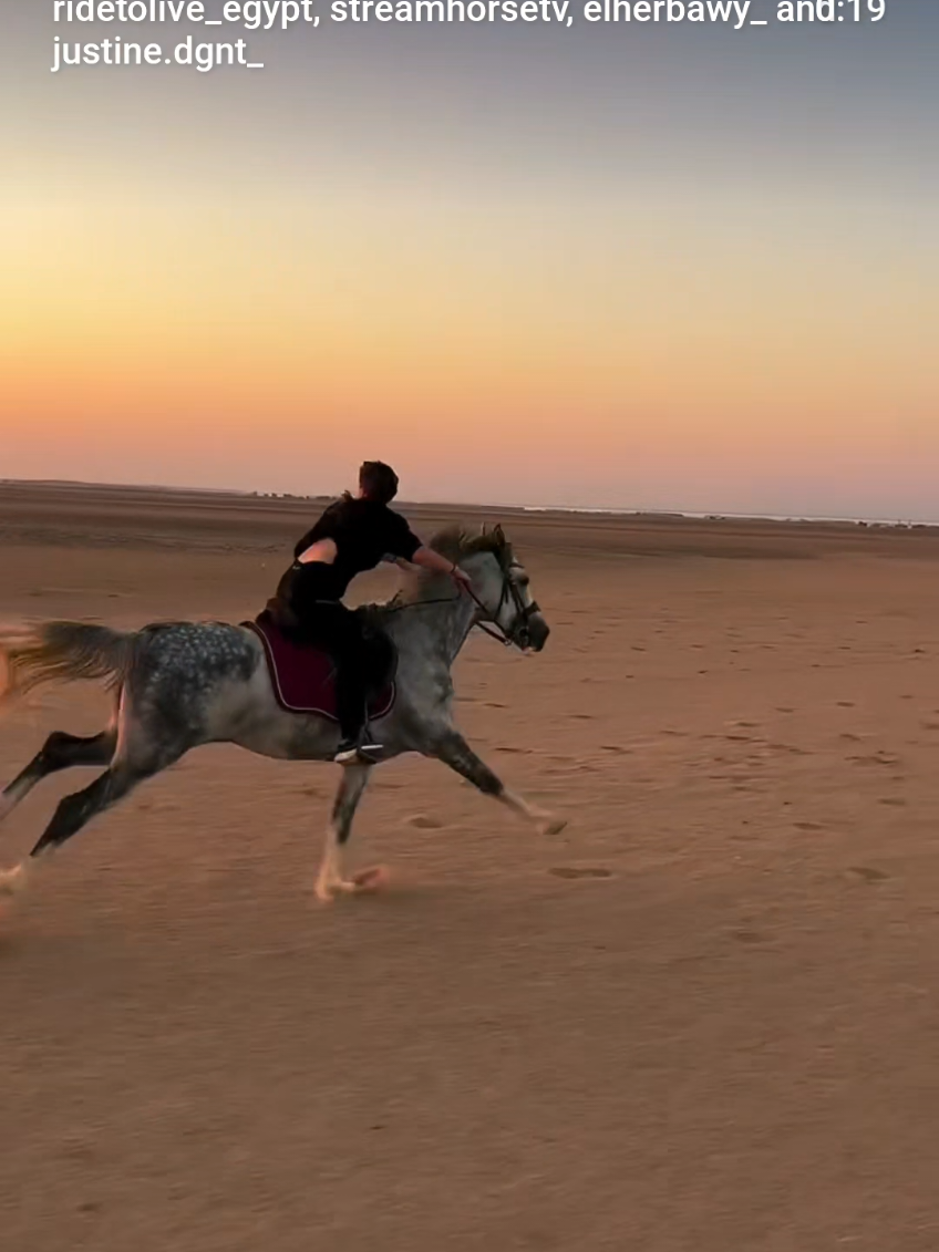 @streamhorse