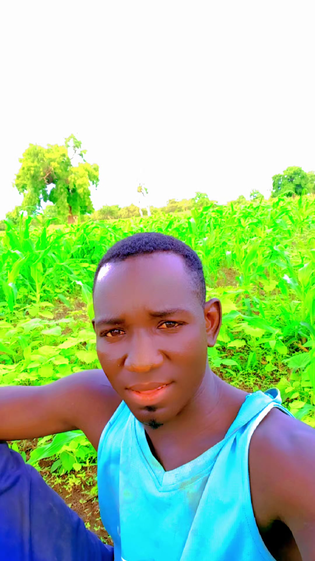 @AMATH NDAO