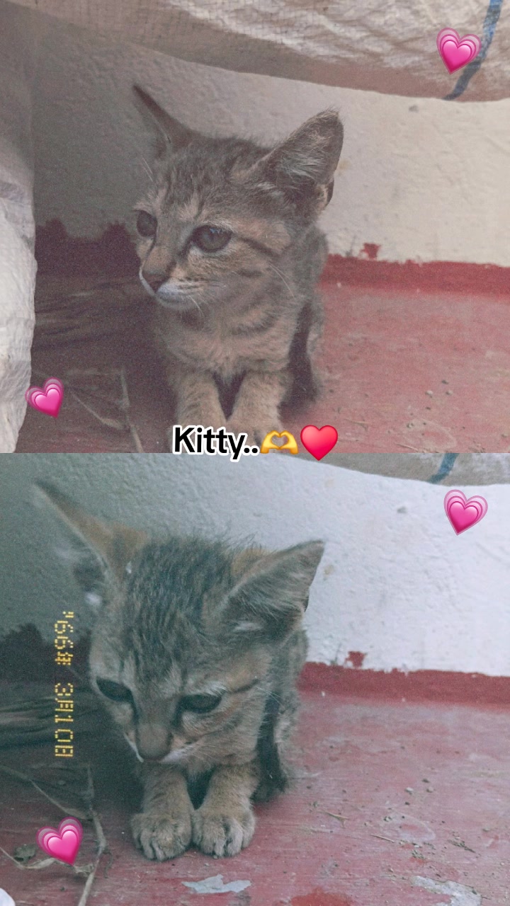 @Pujaaa_🎀🌸