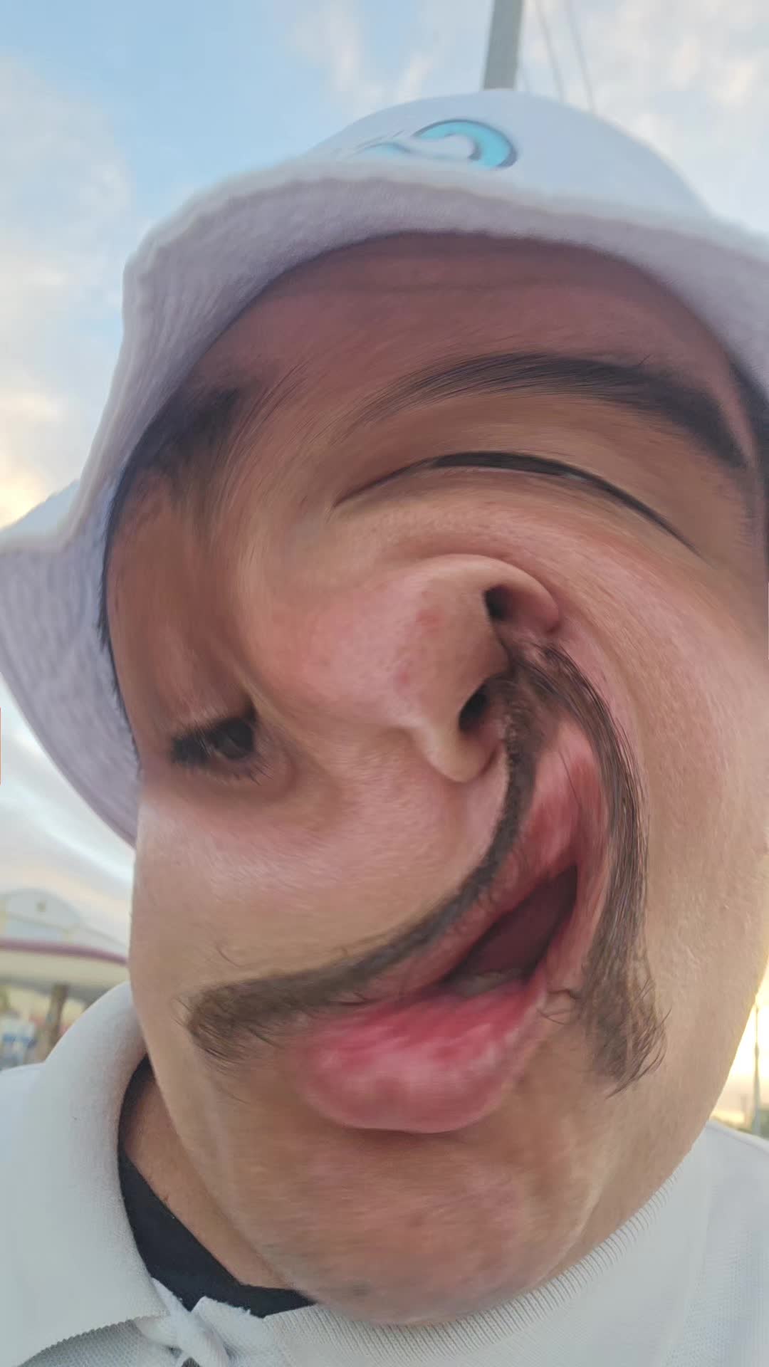 @ingogneeto
