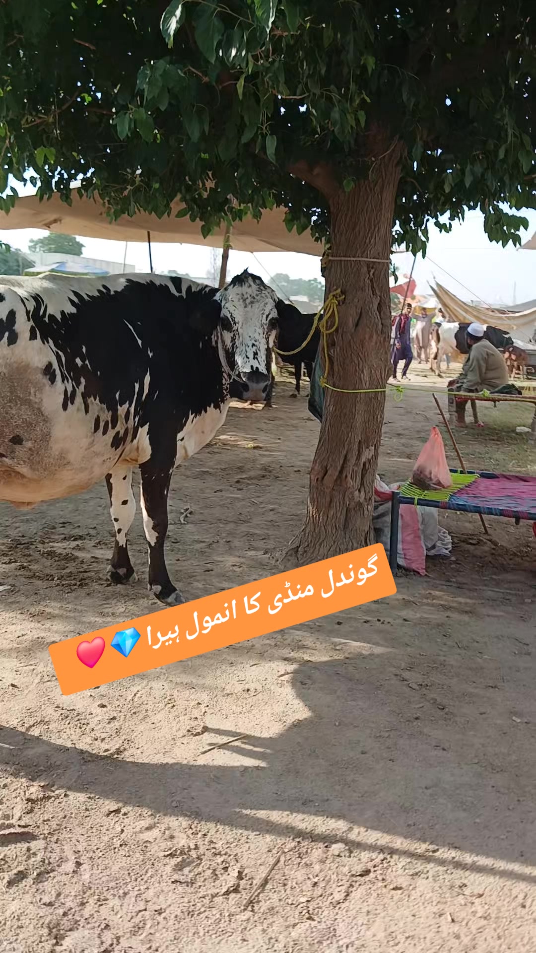 @Atiii❤️