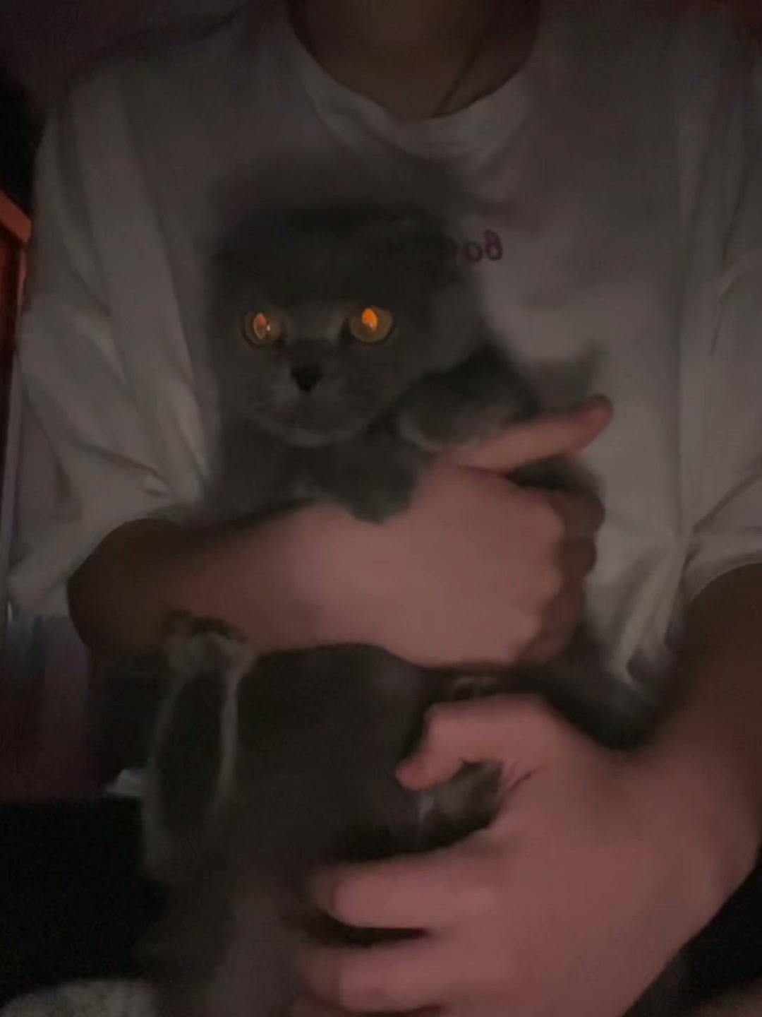 @Поля