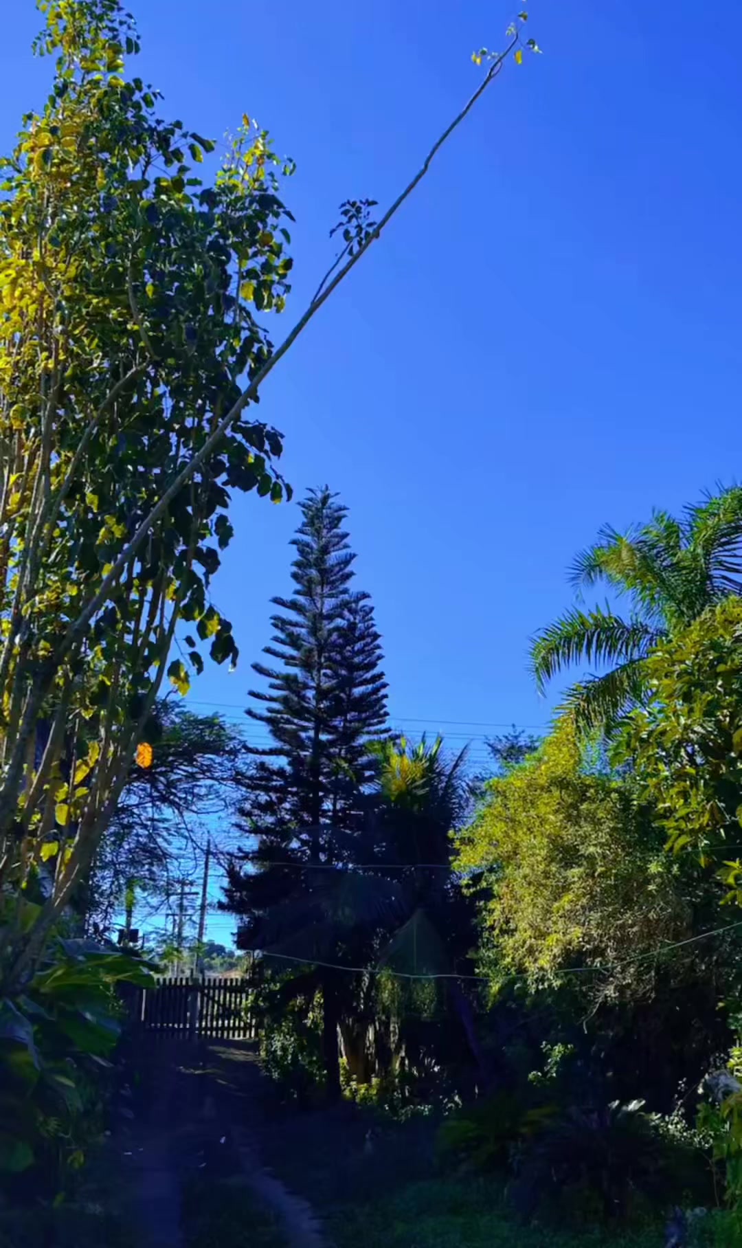 @reflexoes_davida