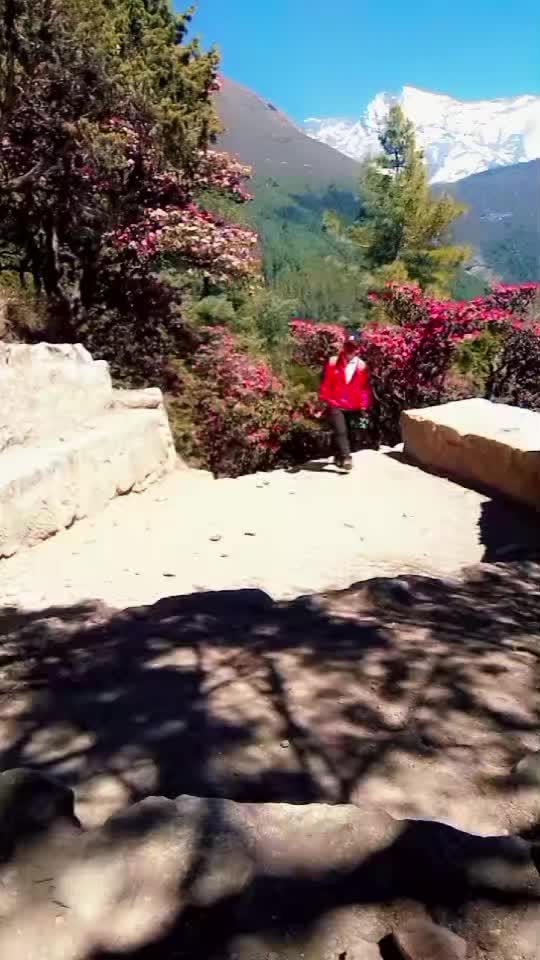 @Afan Dai
