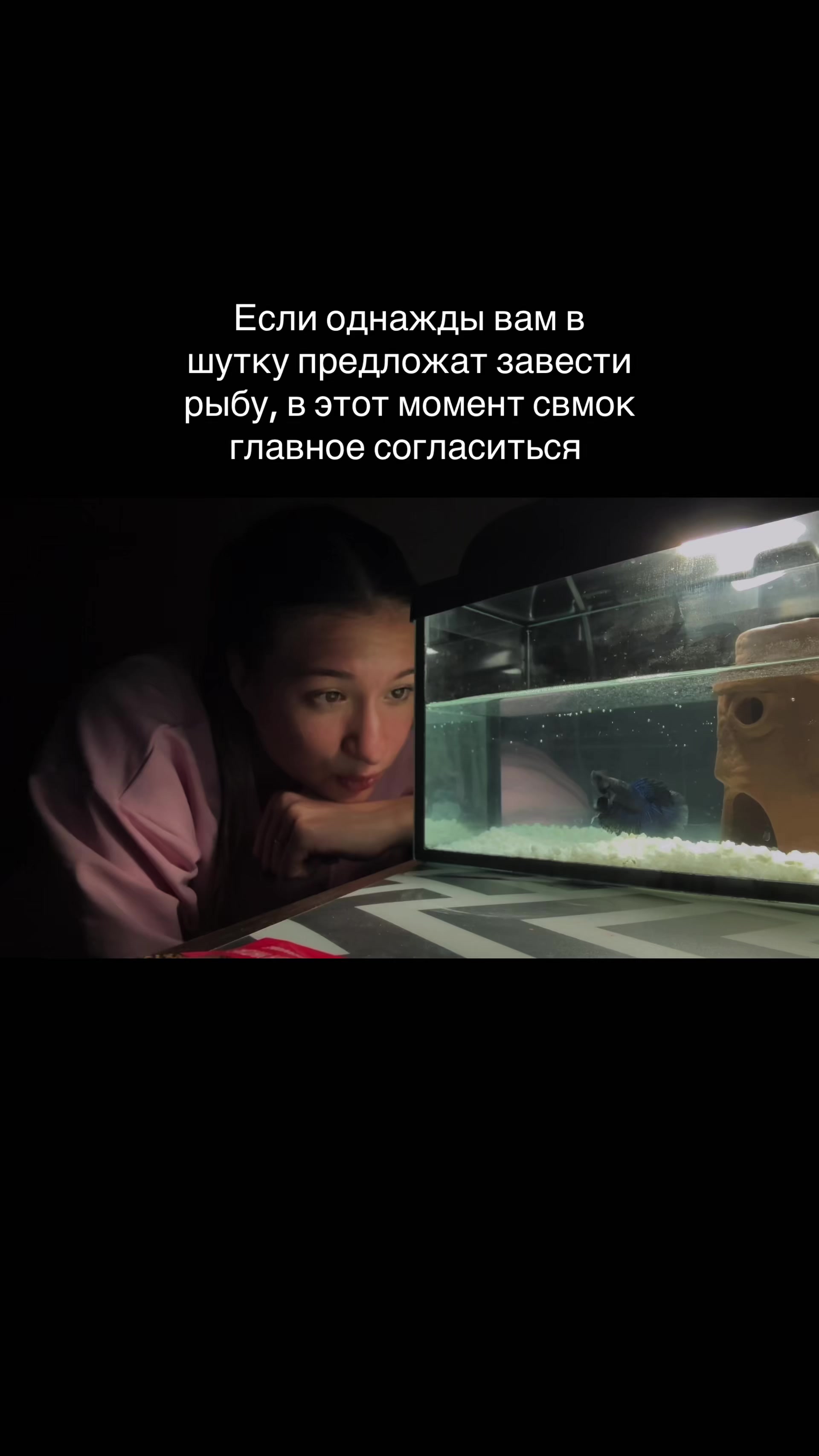 @sofia
