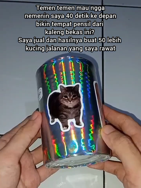 @Kucing Rumah Ronal