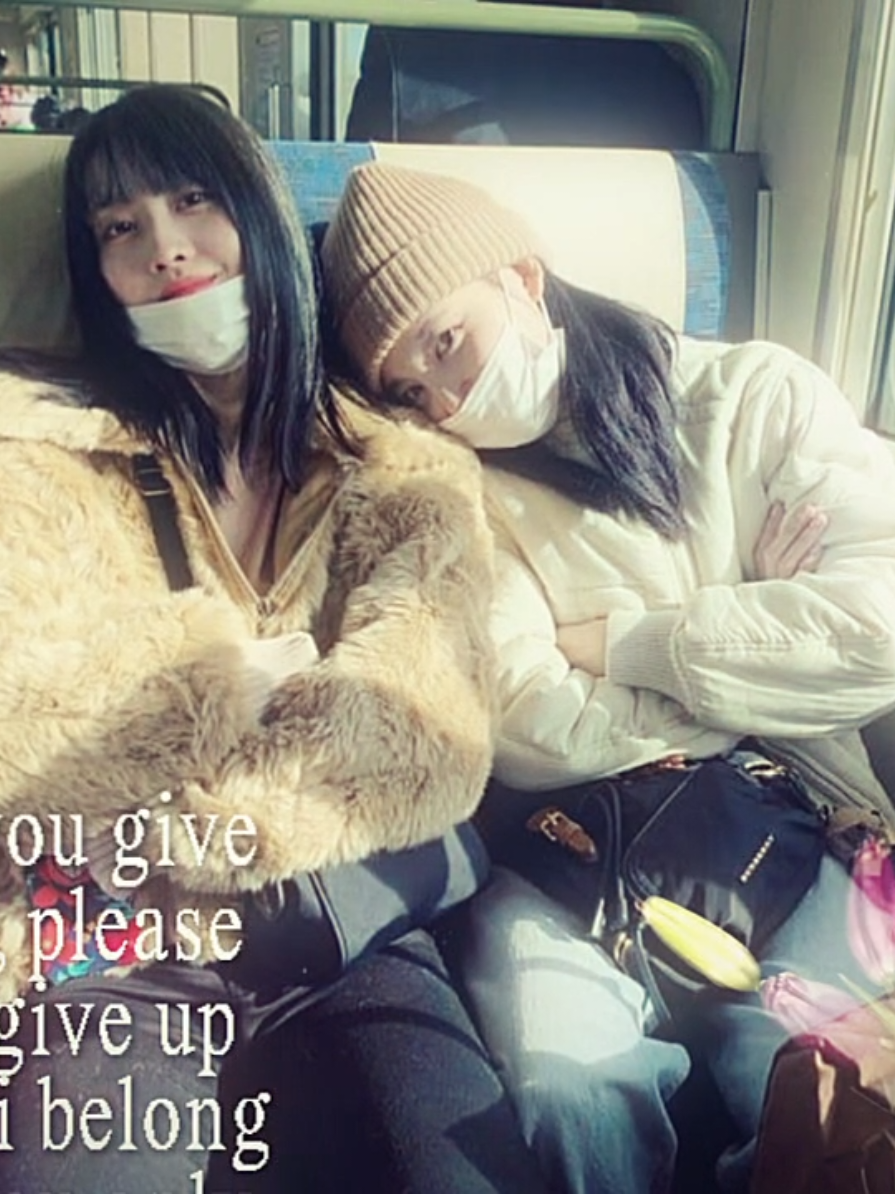 @~ ๐๐ข๐ซ๐๐ข |๐ค