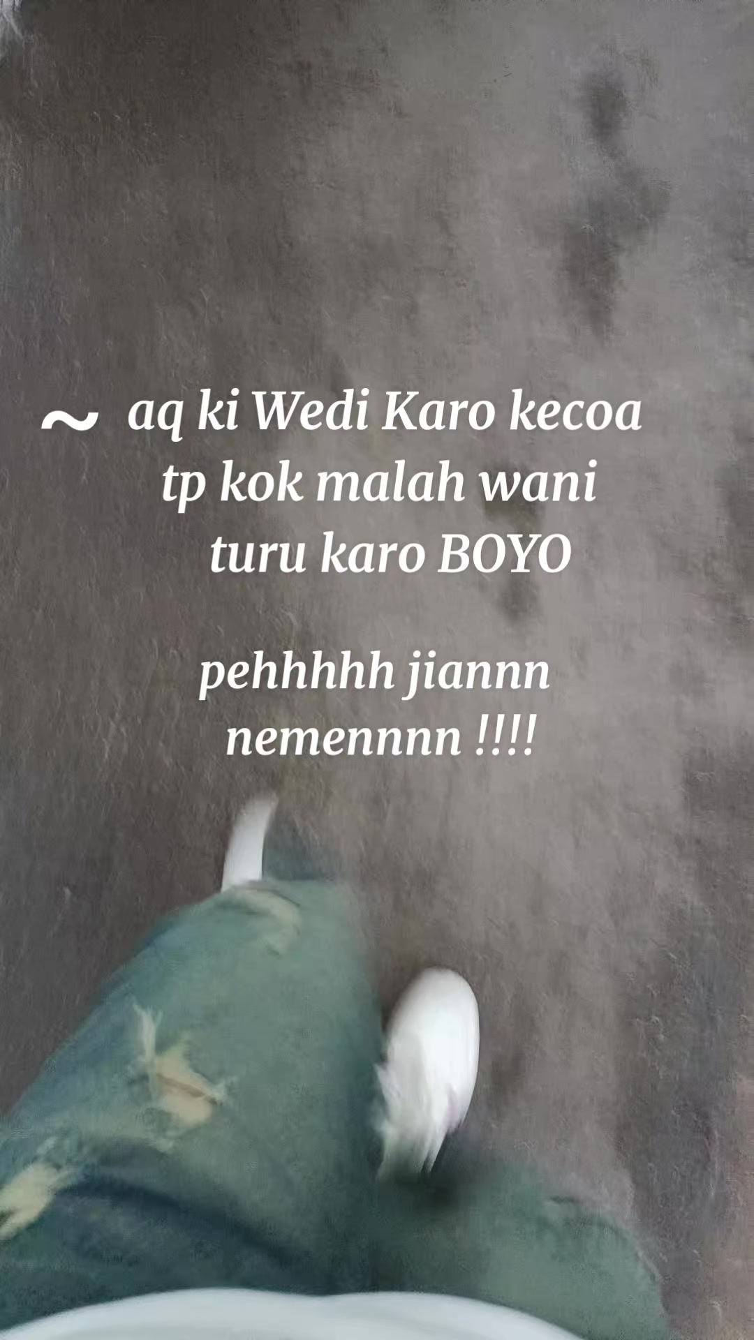 @Tumyny Mbyankoxs