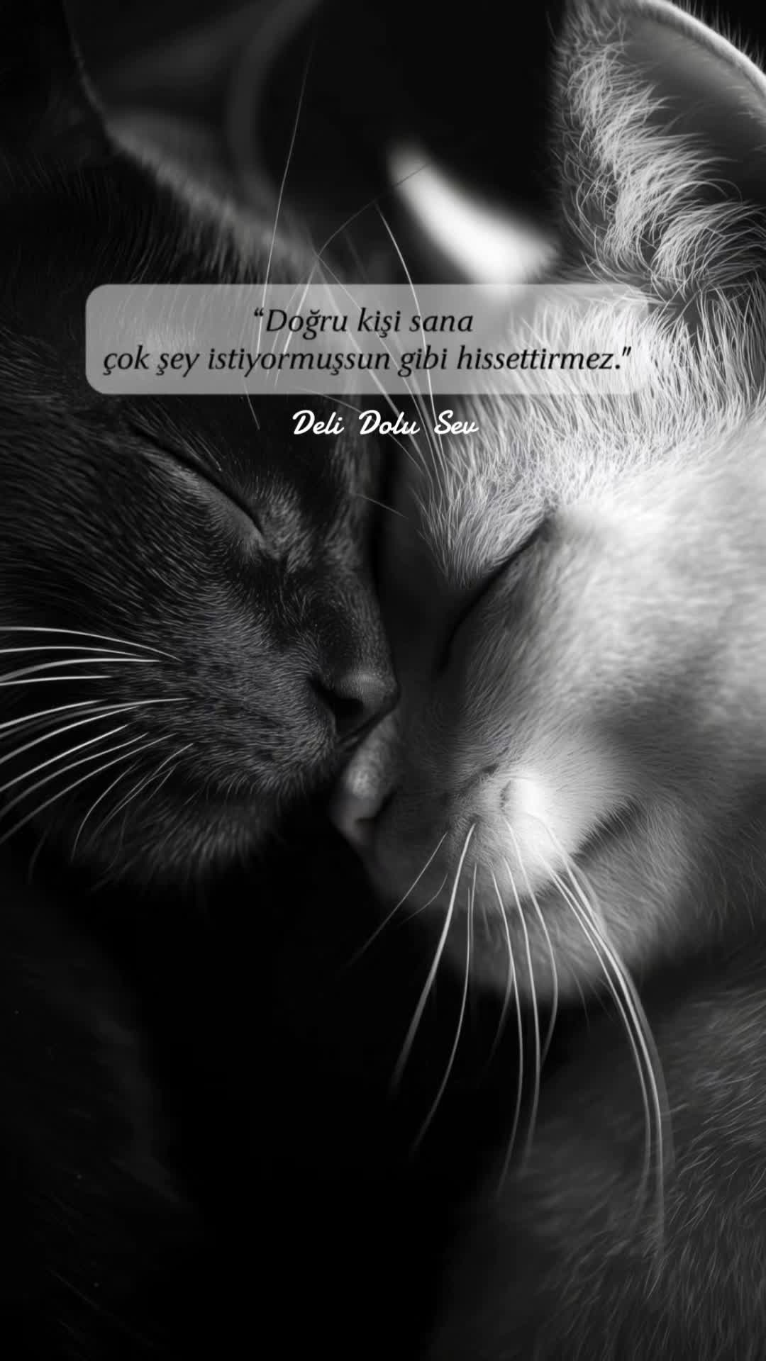 @~ Deli Dolu Sev ~