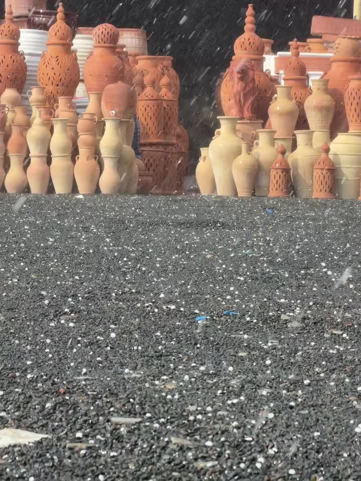 @ولد زايد 🇦🇪