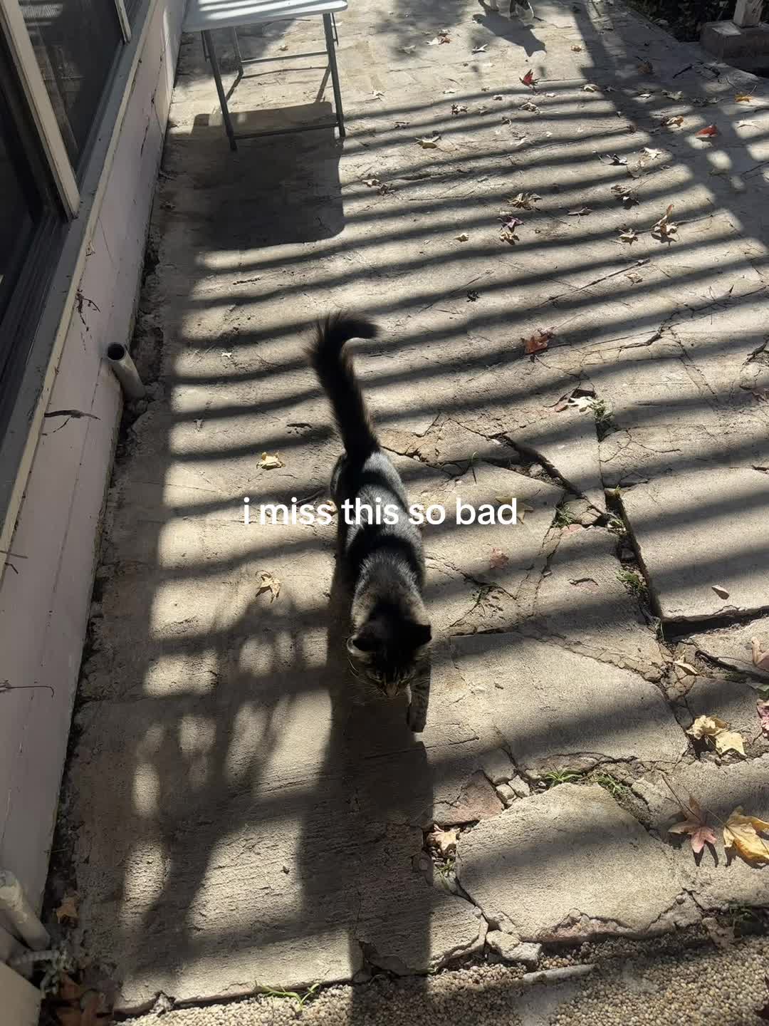 @berlin