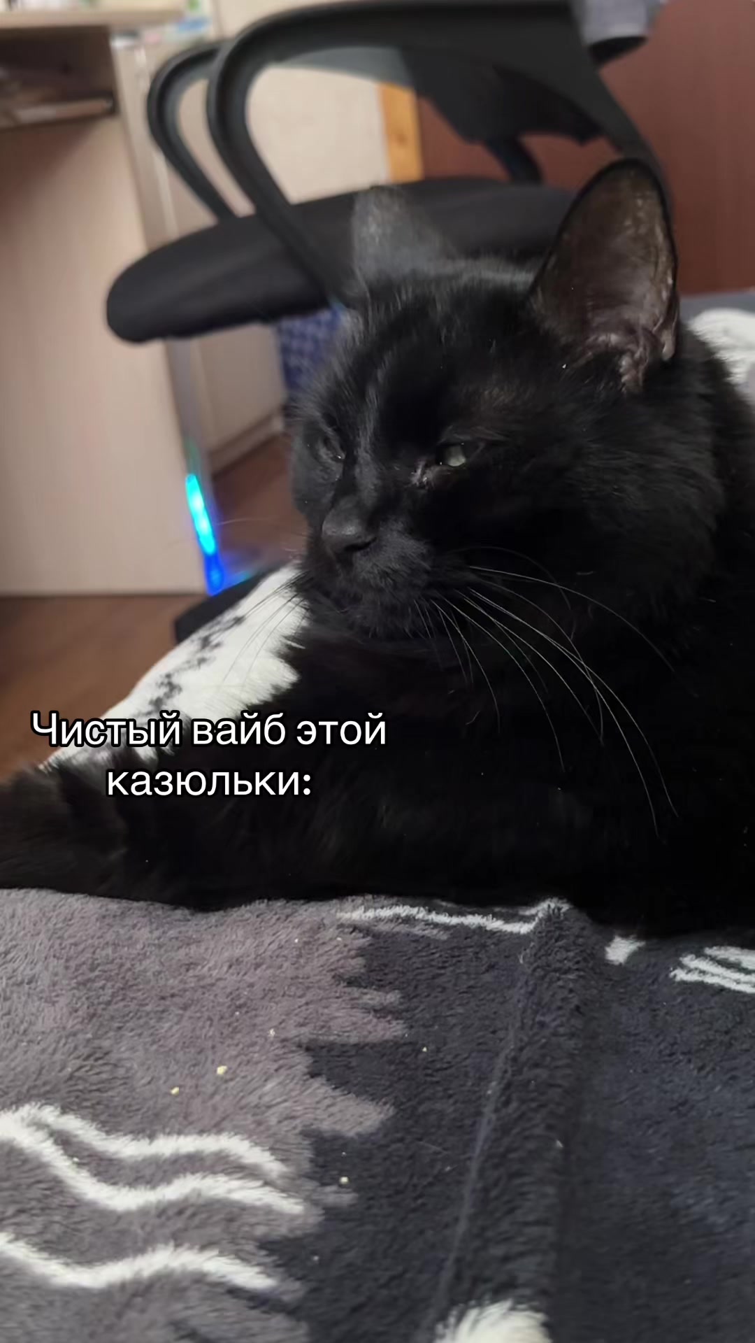 @𝘒𝘢𝘵𝘢𝘯𝘢