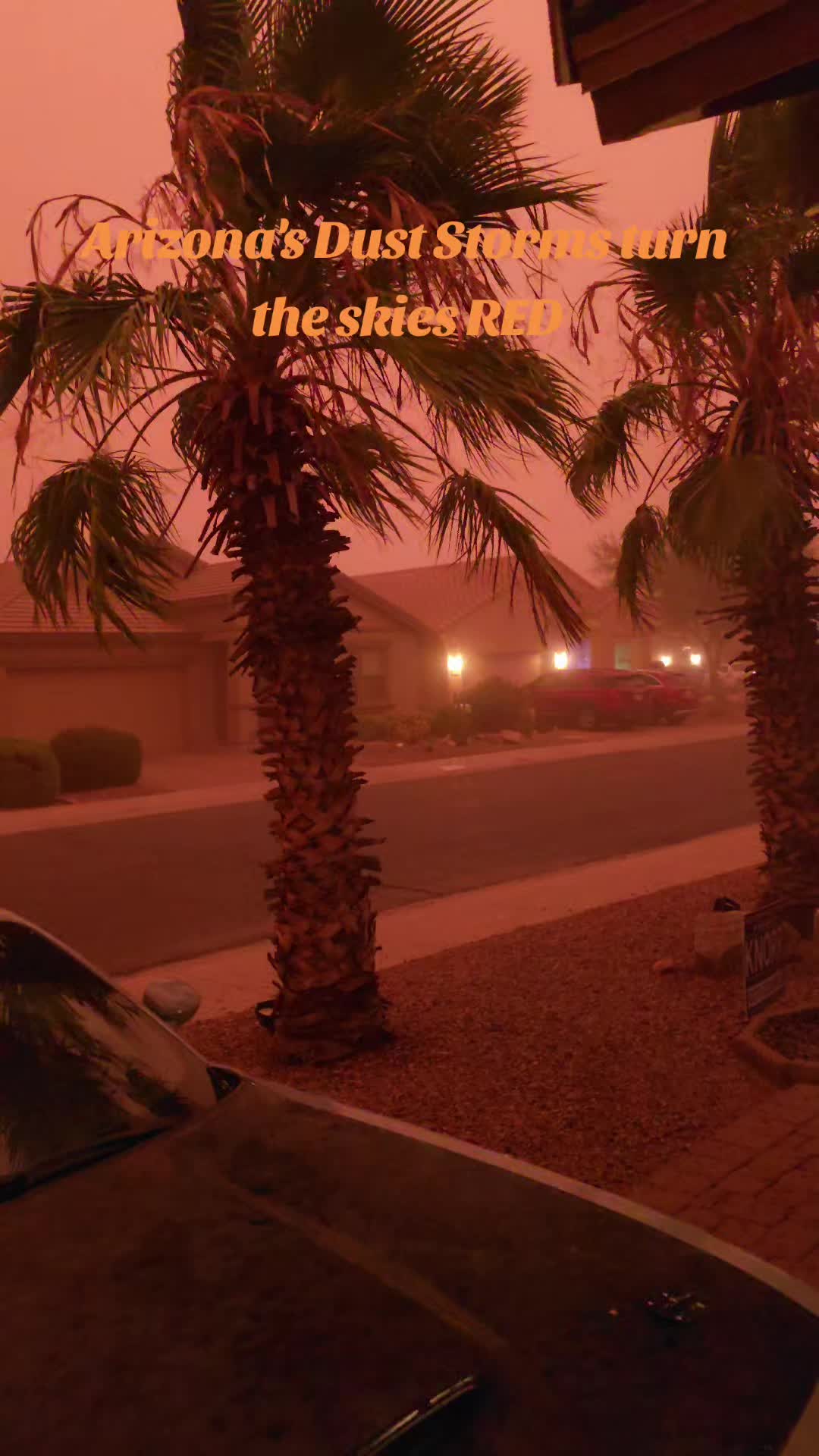 @𝒲𝑜𝒶𝒹𝓎𝓈_𝒲𝑜𝓇𝓁𝒹