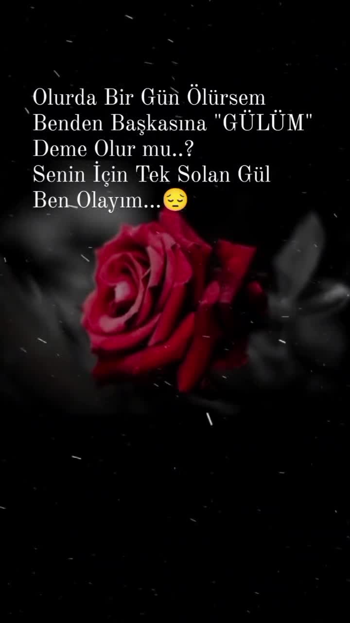 @🌹G&uuml;l&uuml;m 🌹