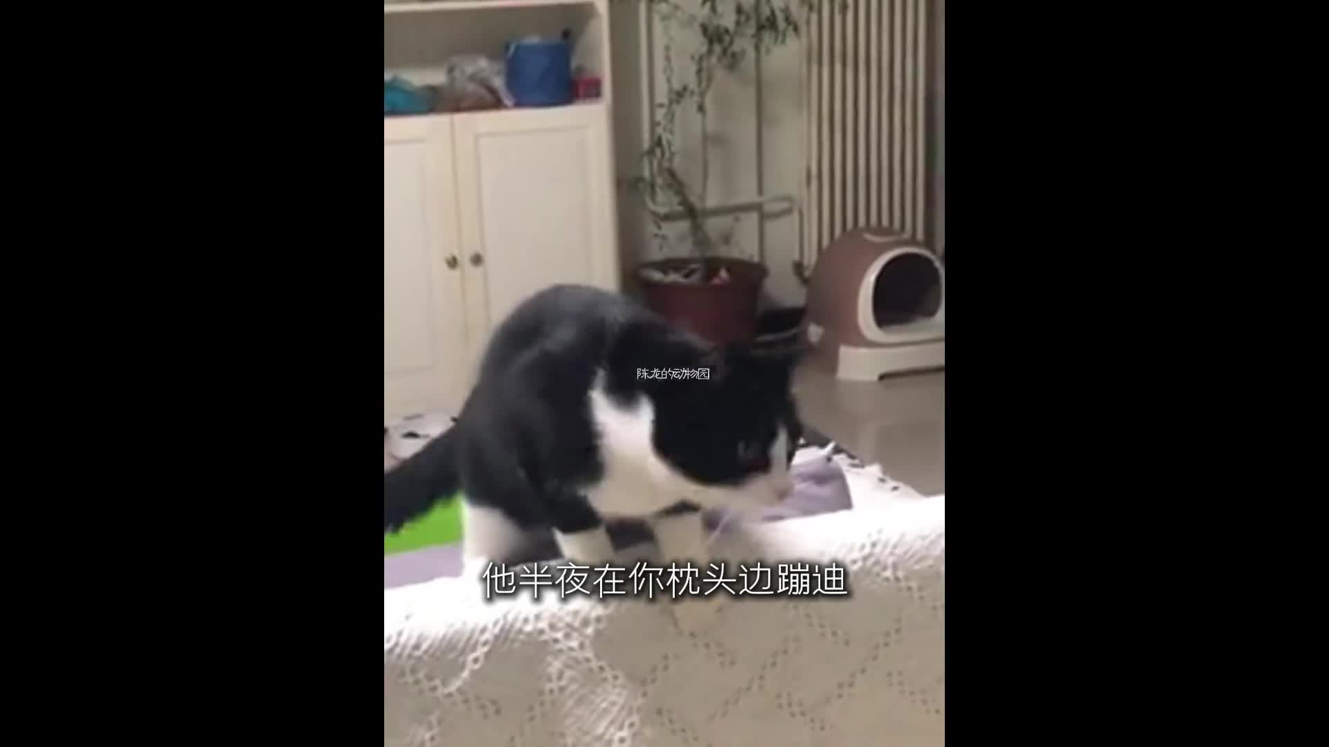 @chaobao0254
