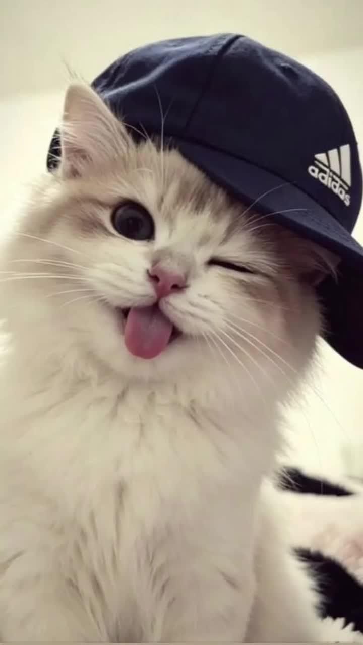 @¥@n