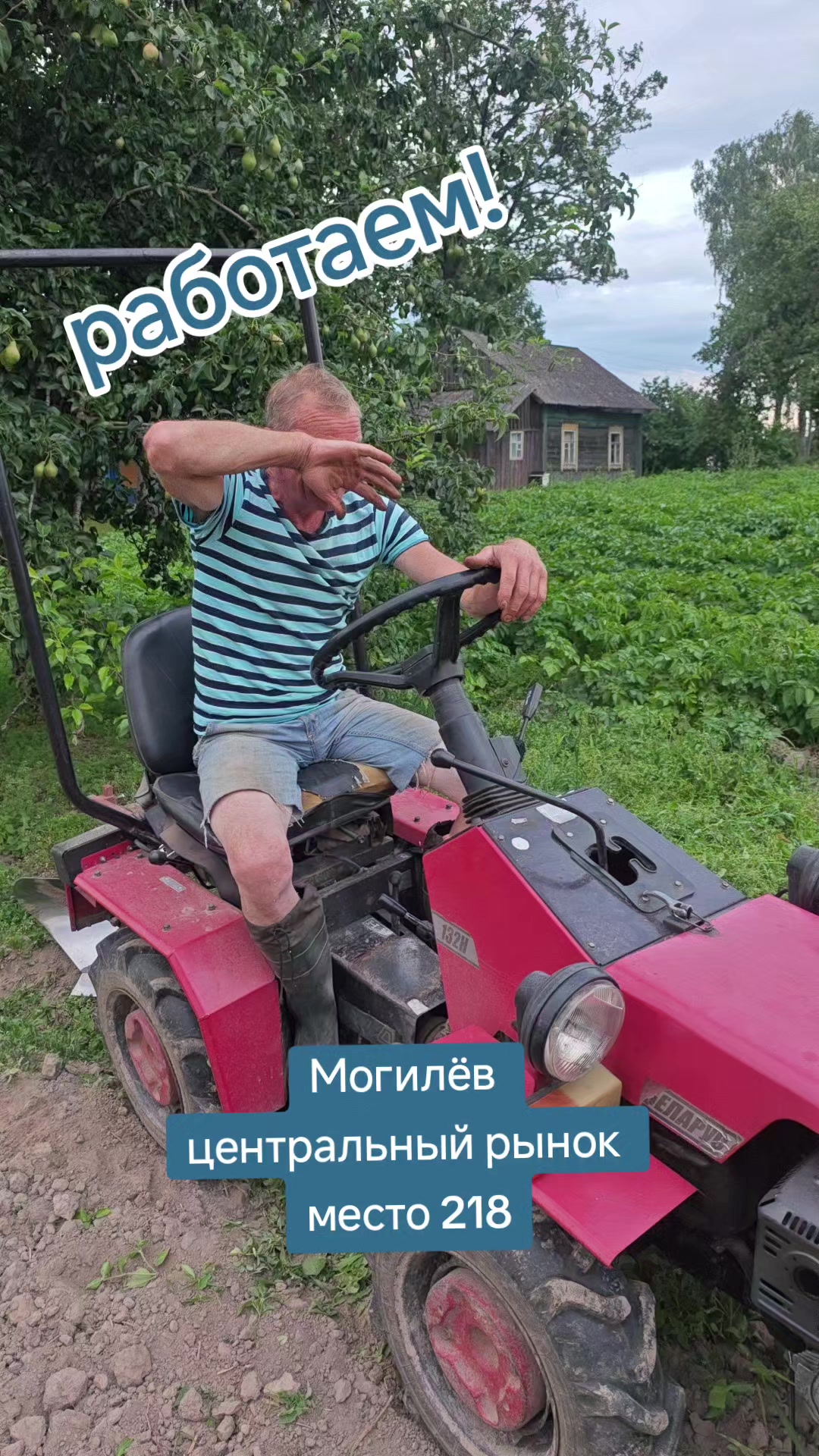 @Картофель Могилёв
