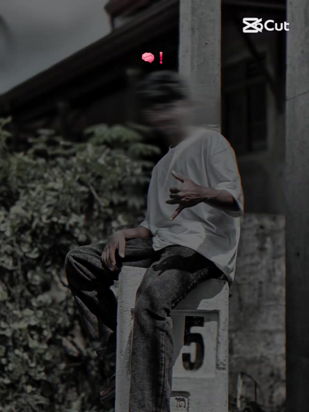 @< D 🐼 💗