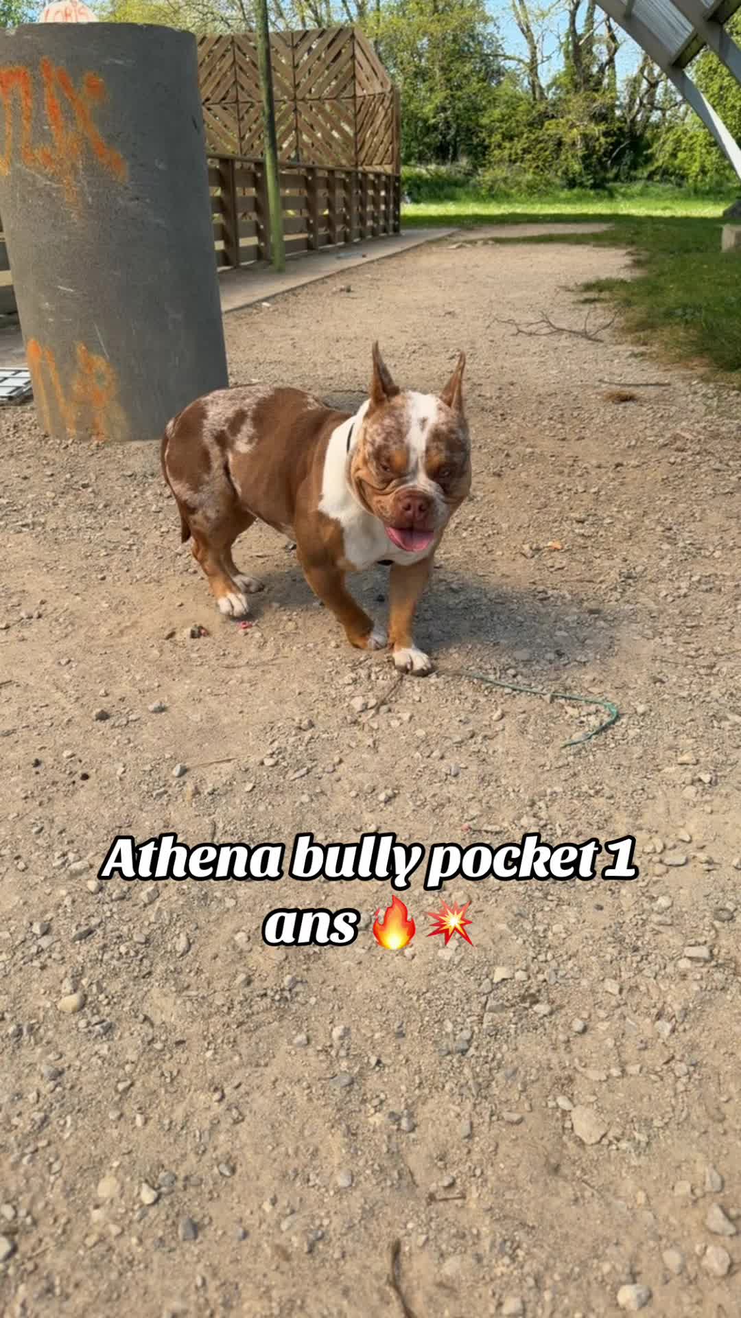 @🔥 Athena en follie 🔥