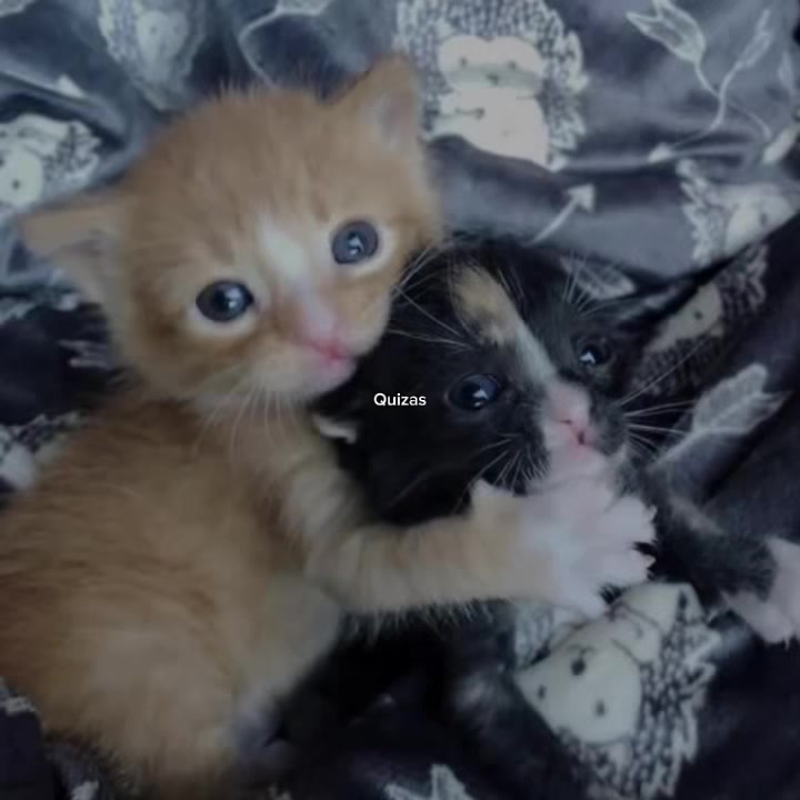 @𝒪𝓳𝓮𝓭𝓪𝓻𝓲𝓸