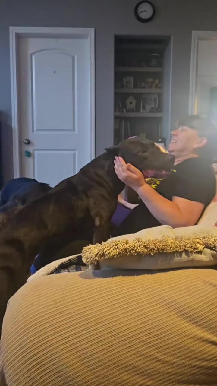@Steph-RaisingHell.Hounds🇨🇦