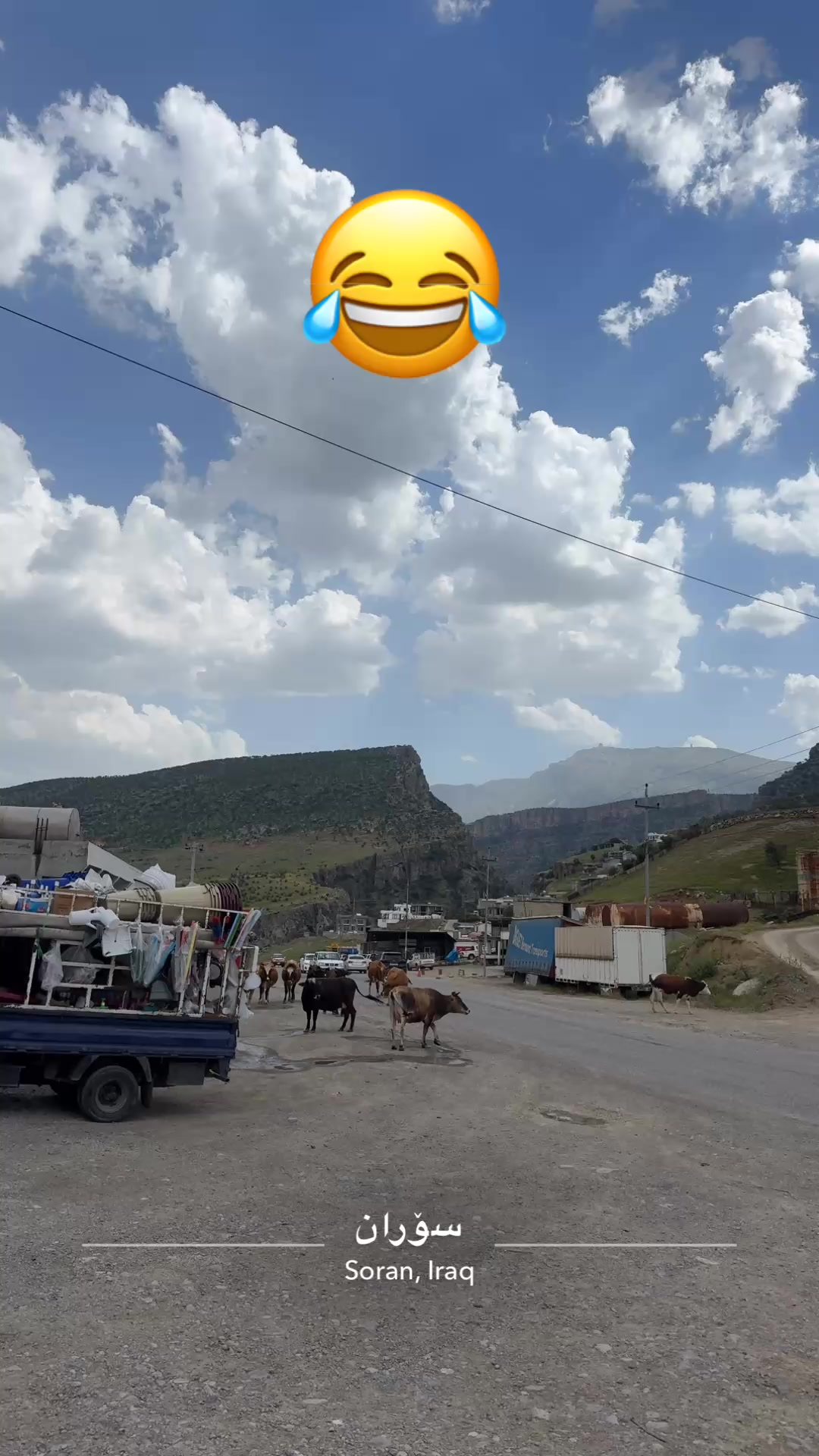 @👻hamza sorany2024 👻