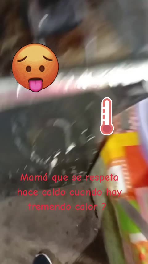 @esaul a