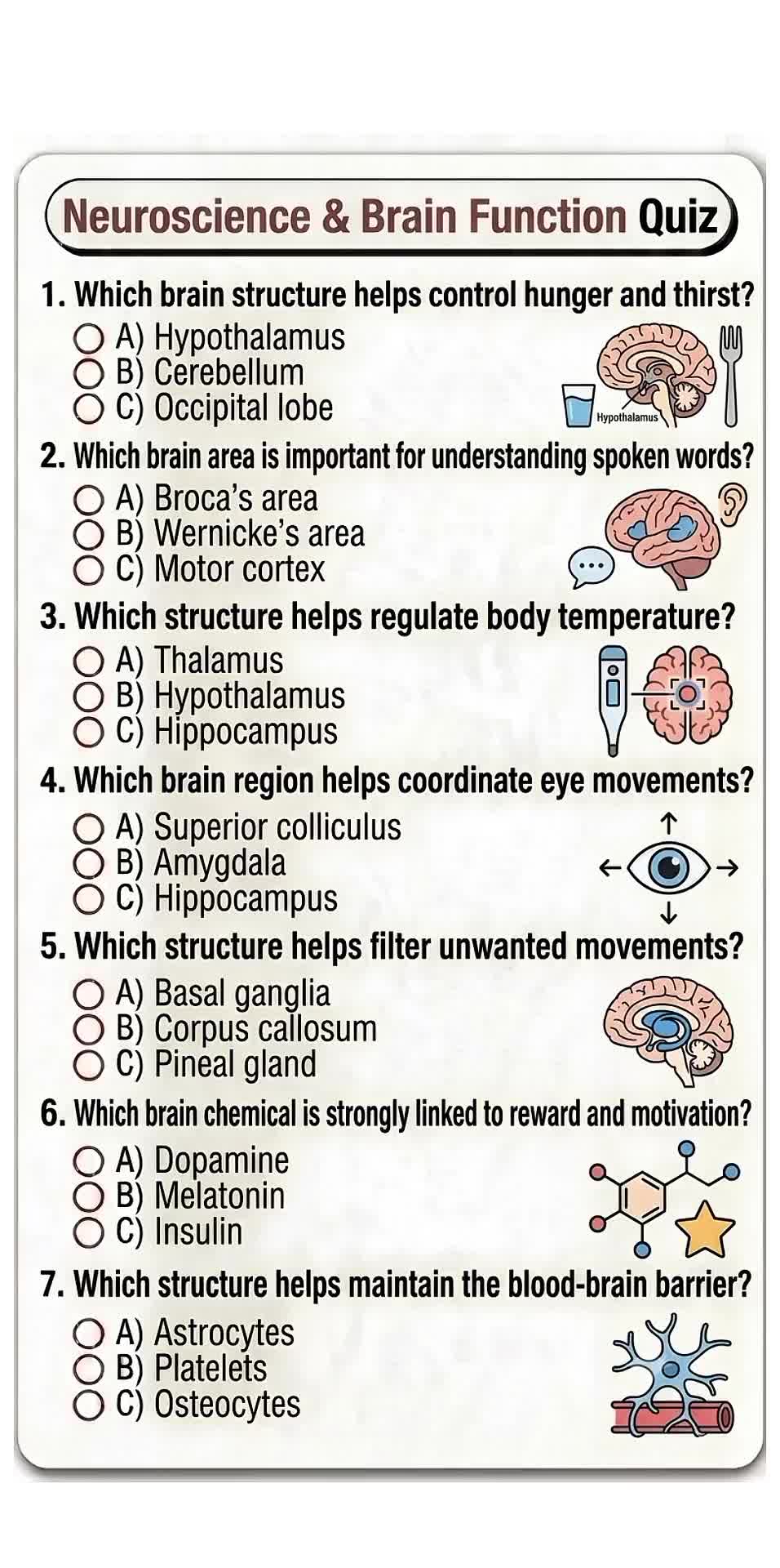 @Daily Quiz
