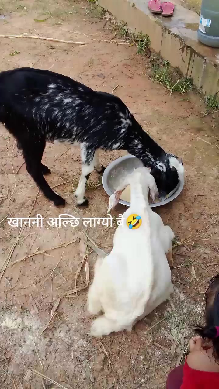 @❣️Rajita ❣️