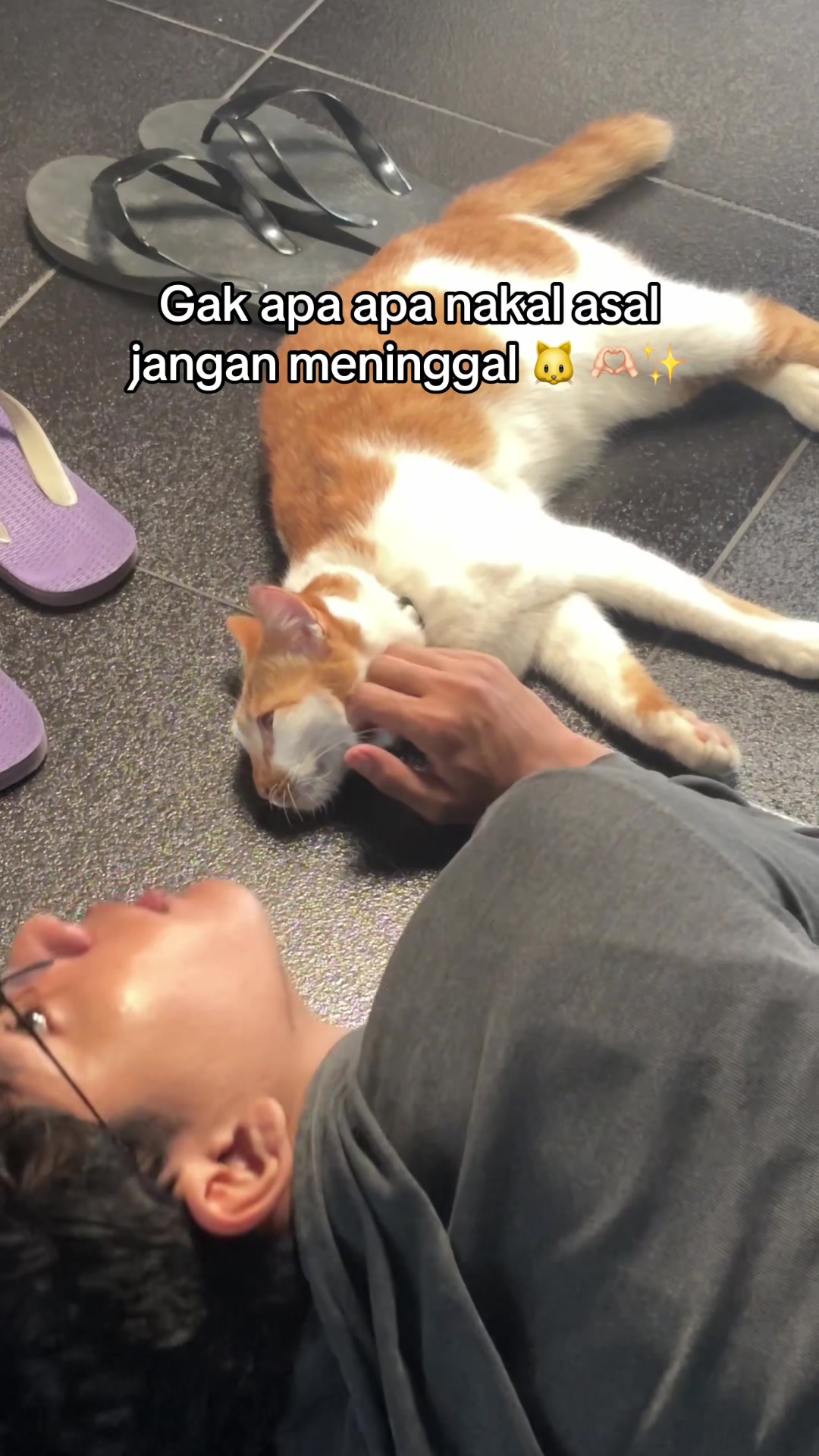 @PETGROW : CAT GROOMING MALANG
