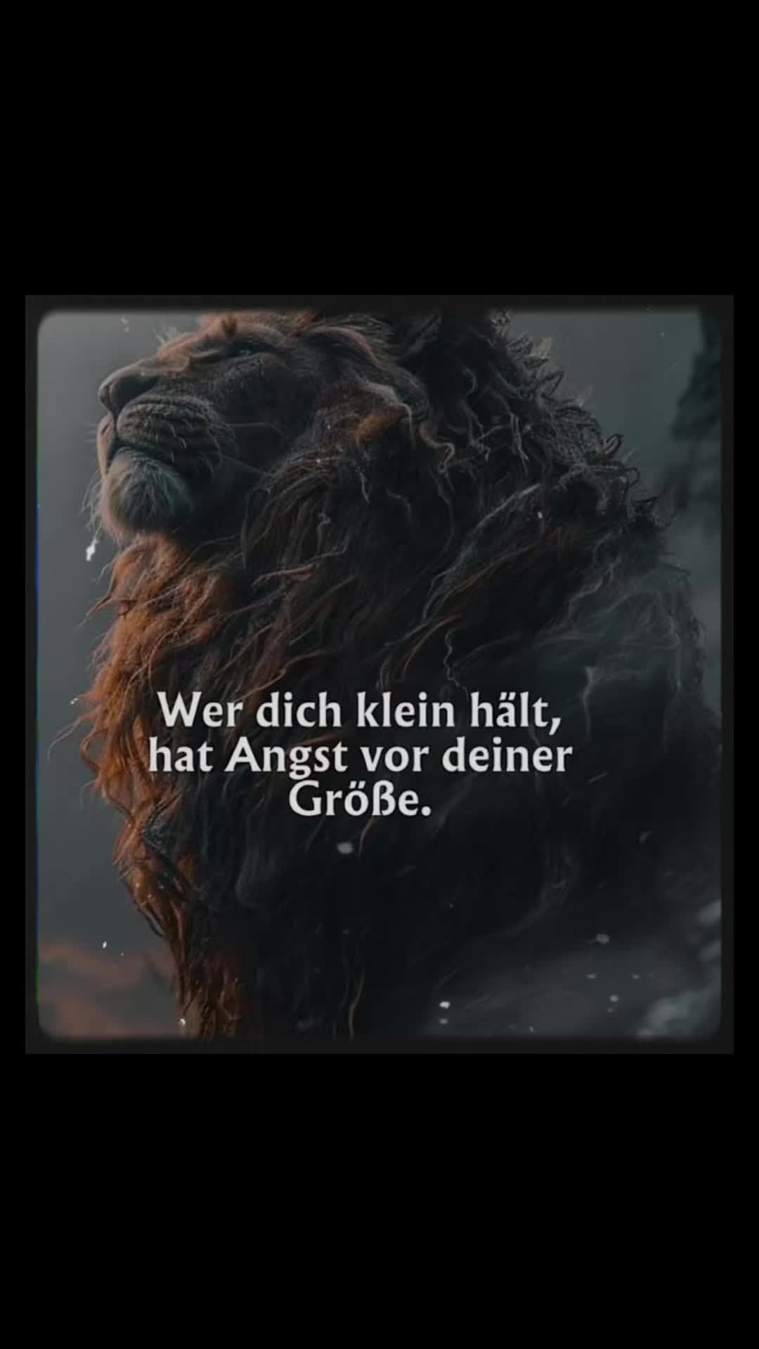 @AniLiv