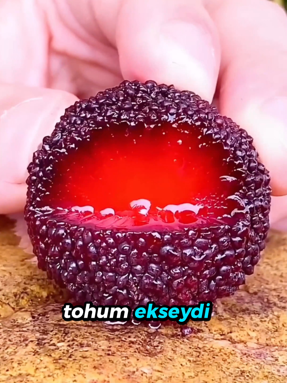 @beynegrafya
