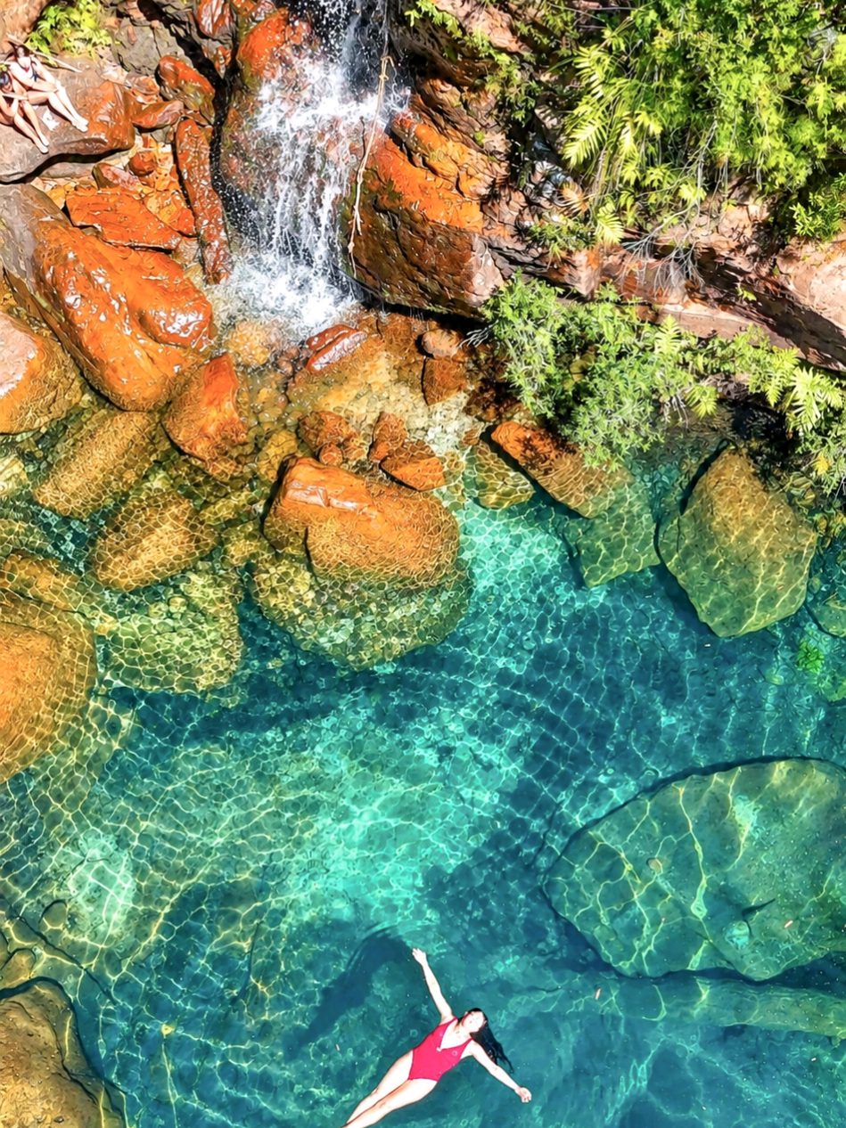 @Nature Love Australia 🌴