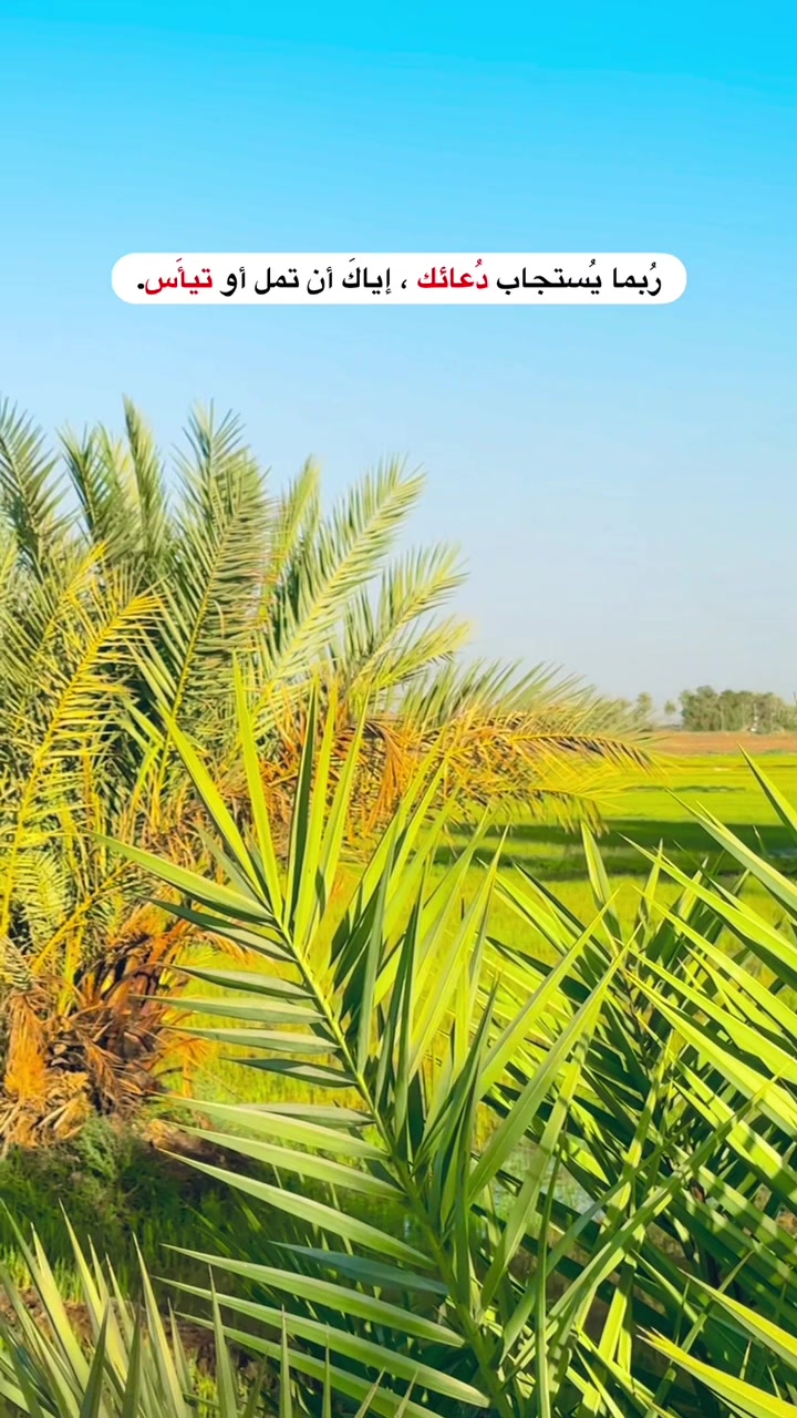 @علاوي