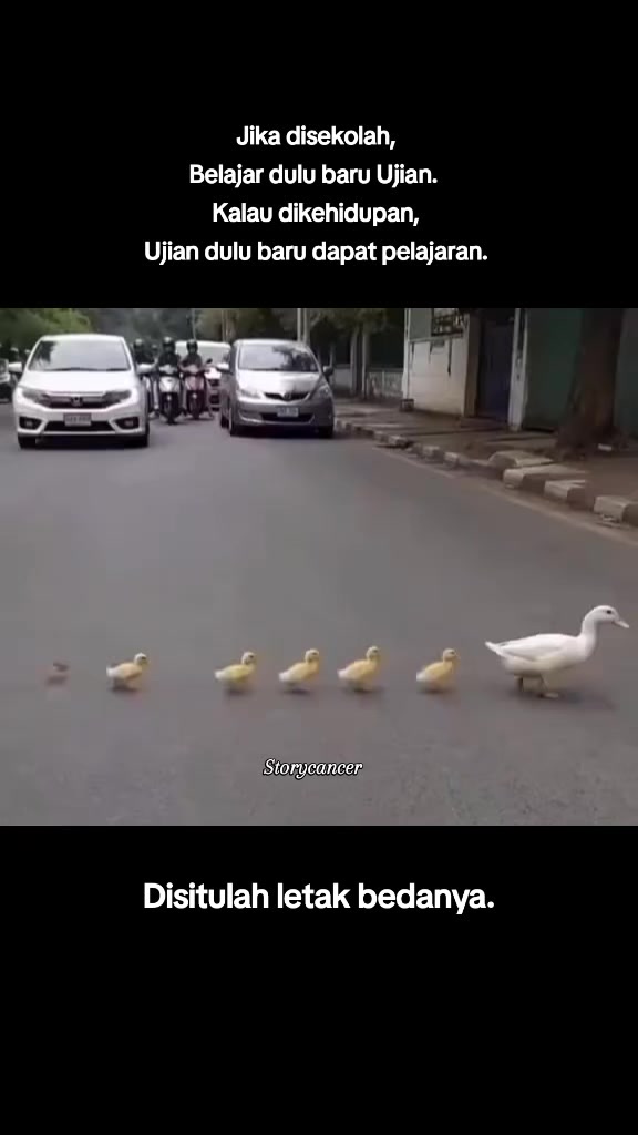 @🦀 Storycancer 🦀 (Random)