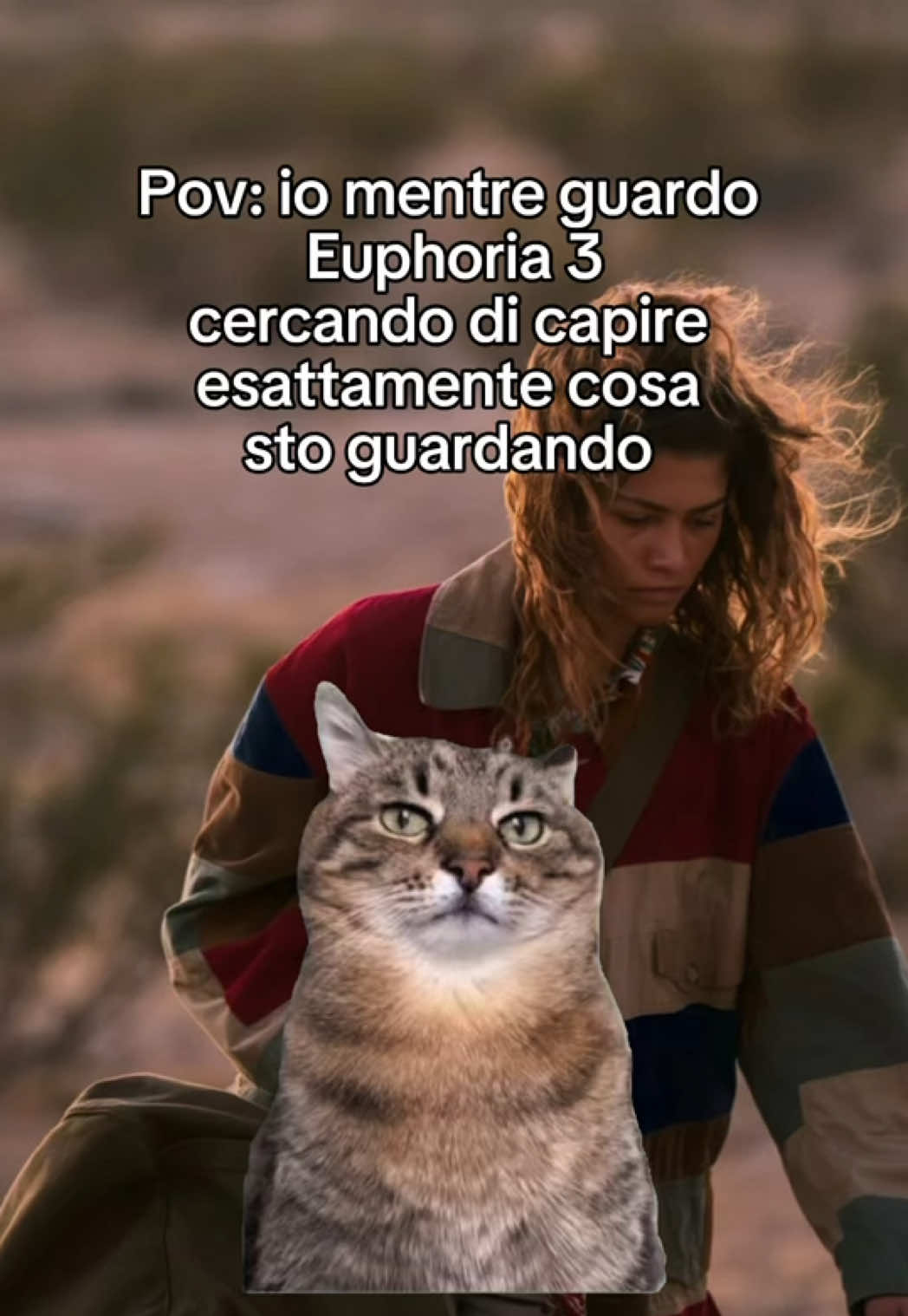@Pulp_Ludo