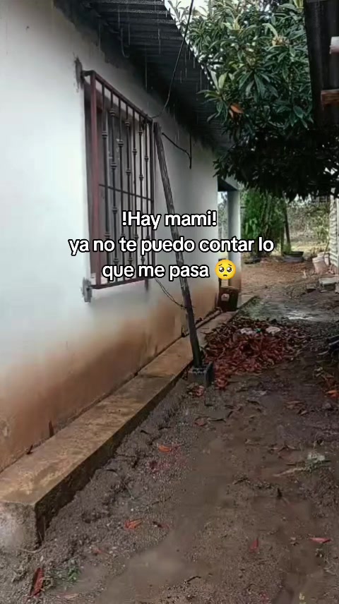 @vecky