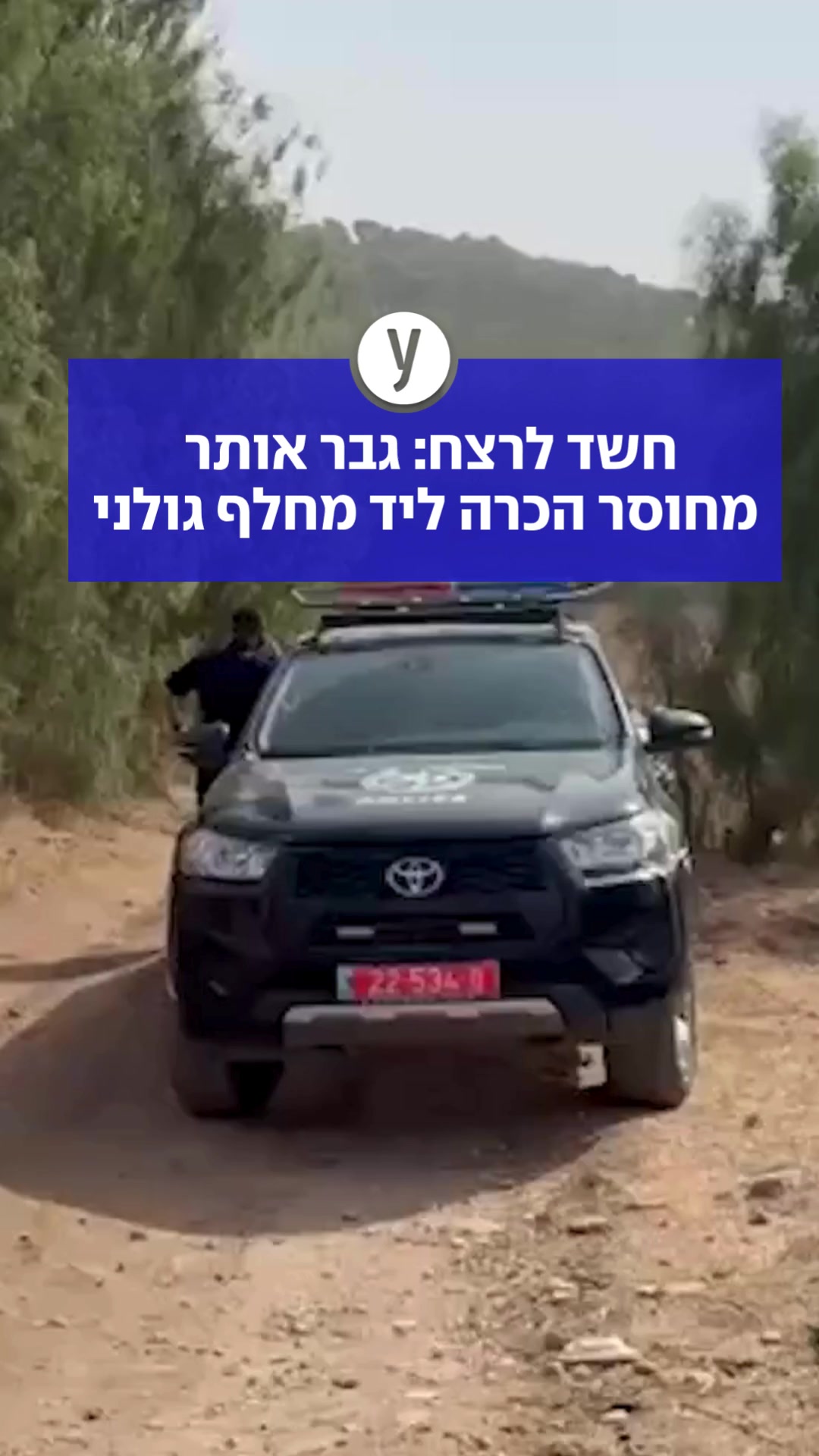 @ynet