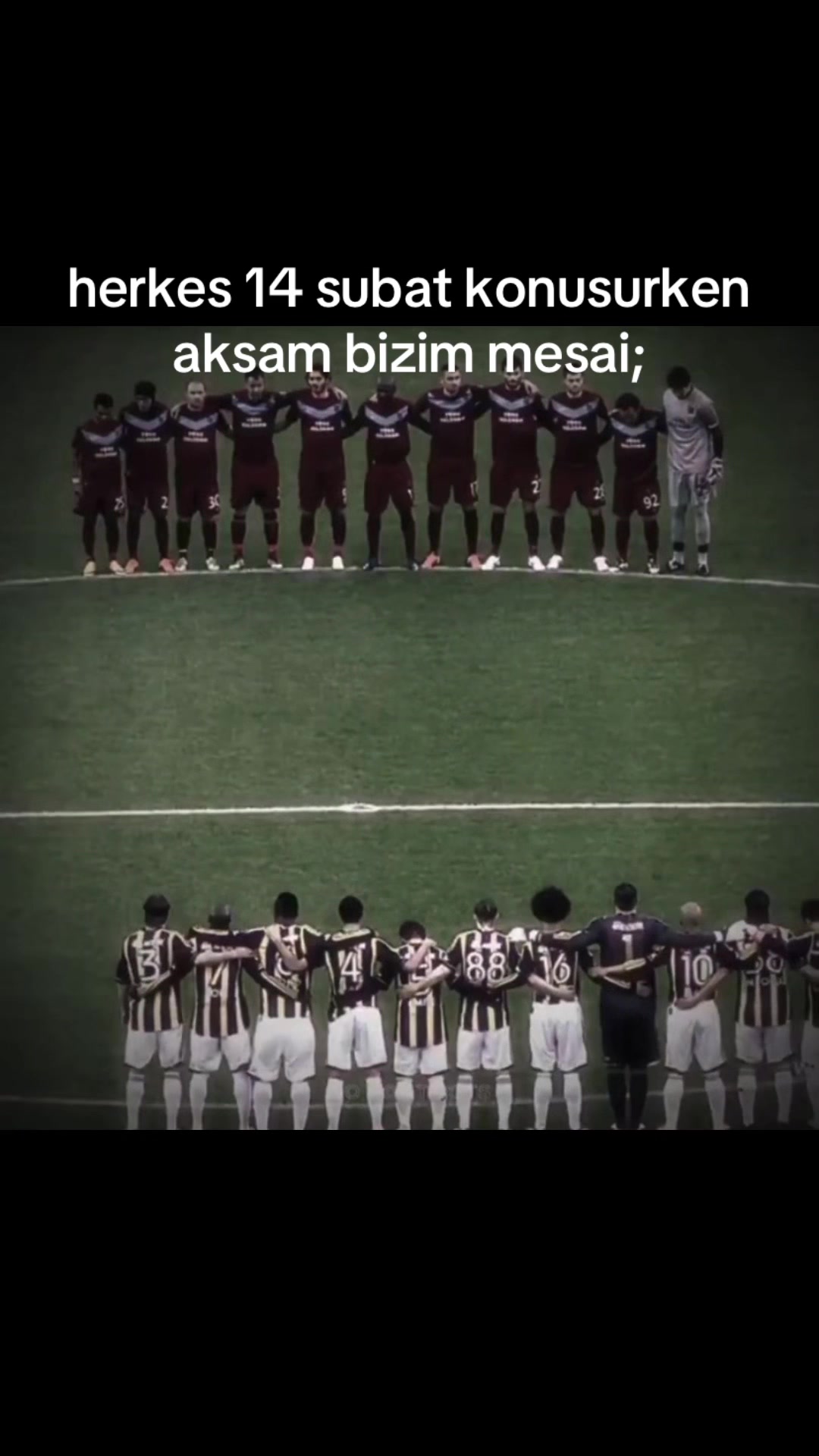 @tembelsi hayvan