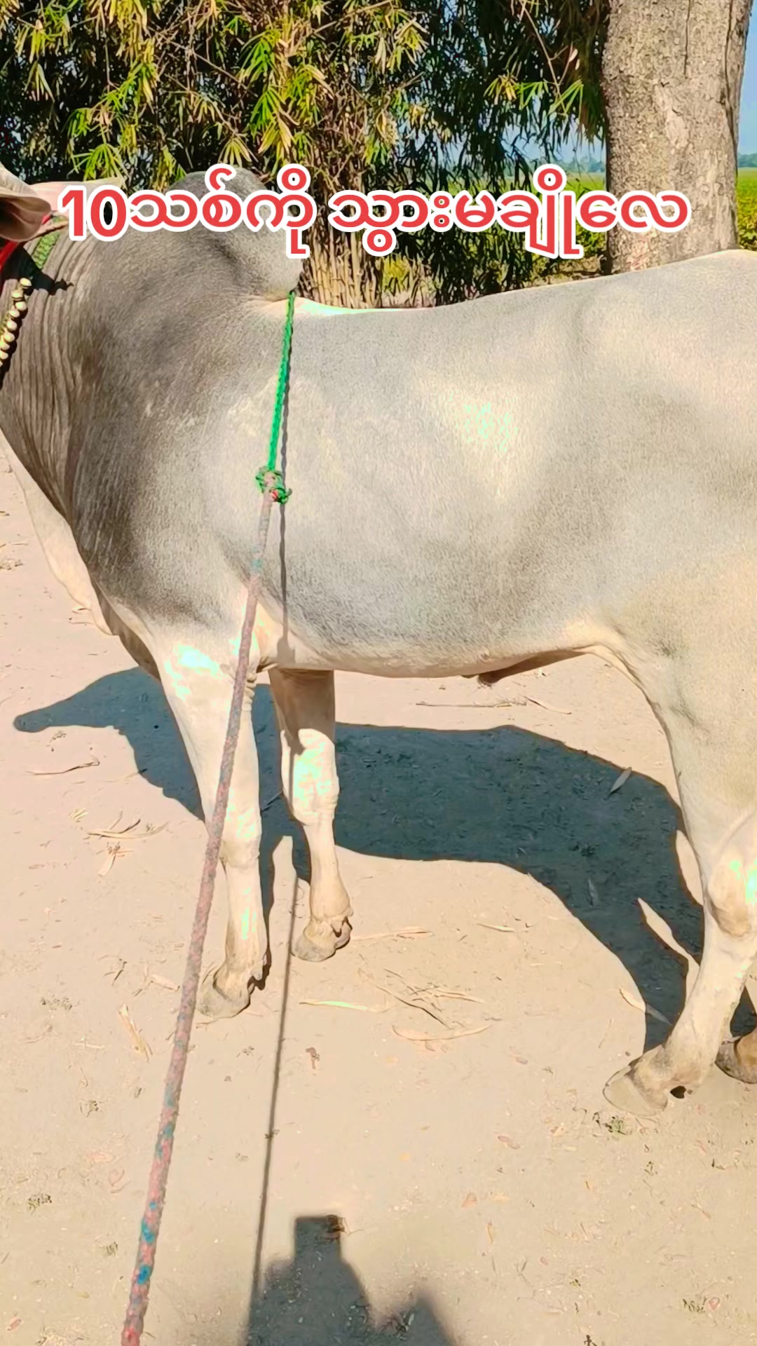 @Krishna