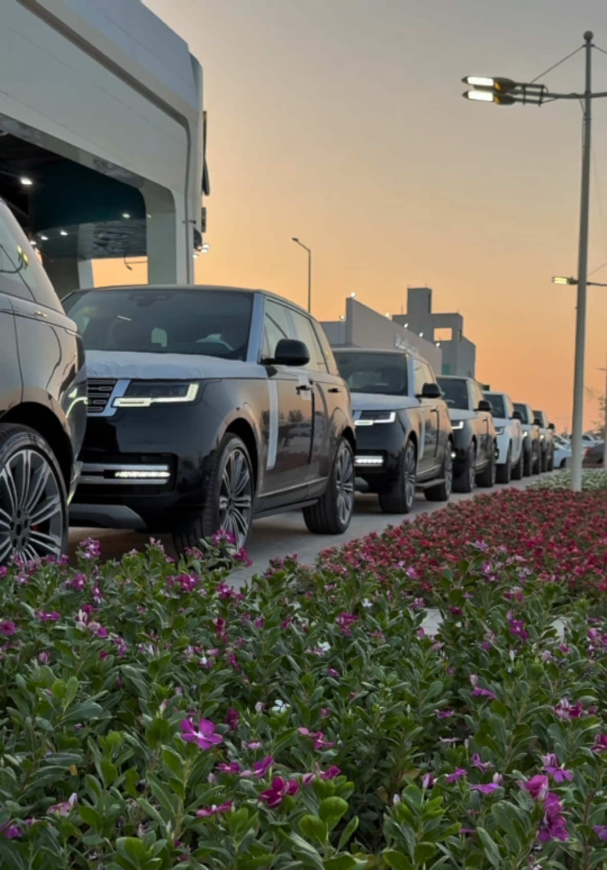 @شركة البريمي للسيارات