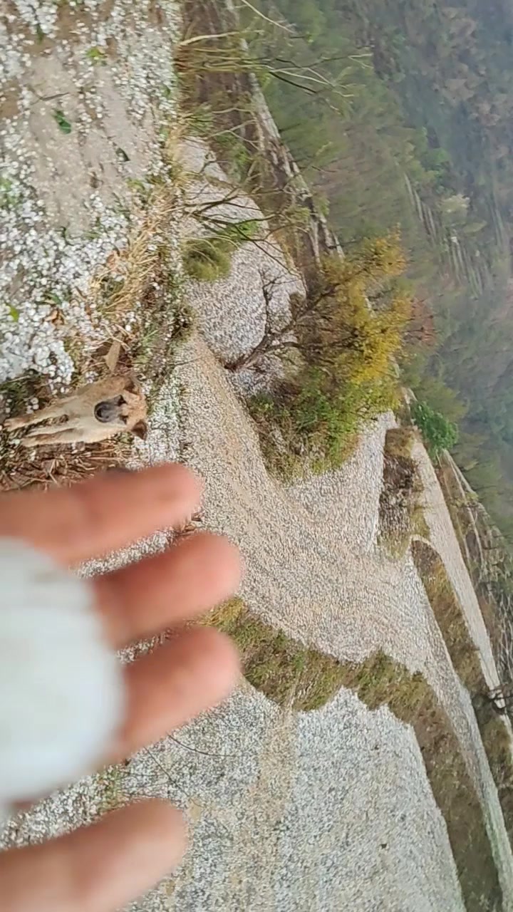 @╤──◥रुद्रांश࿐&reg;