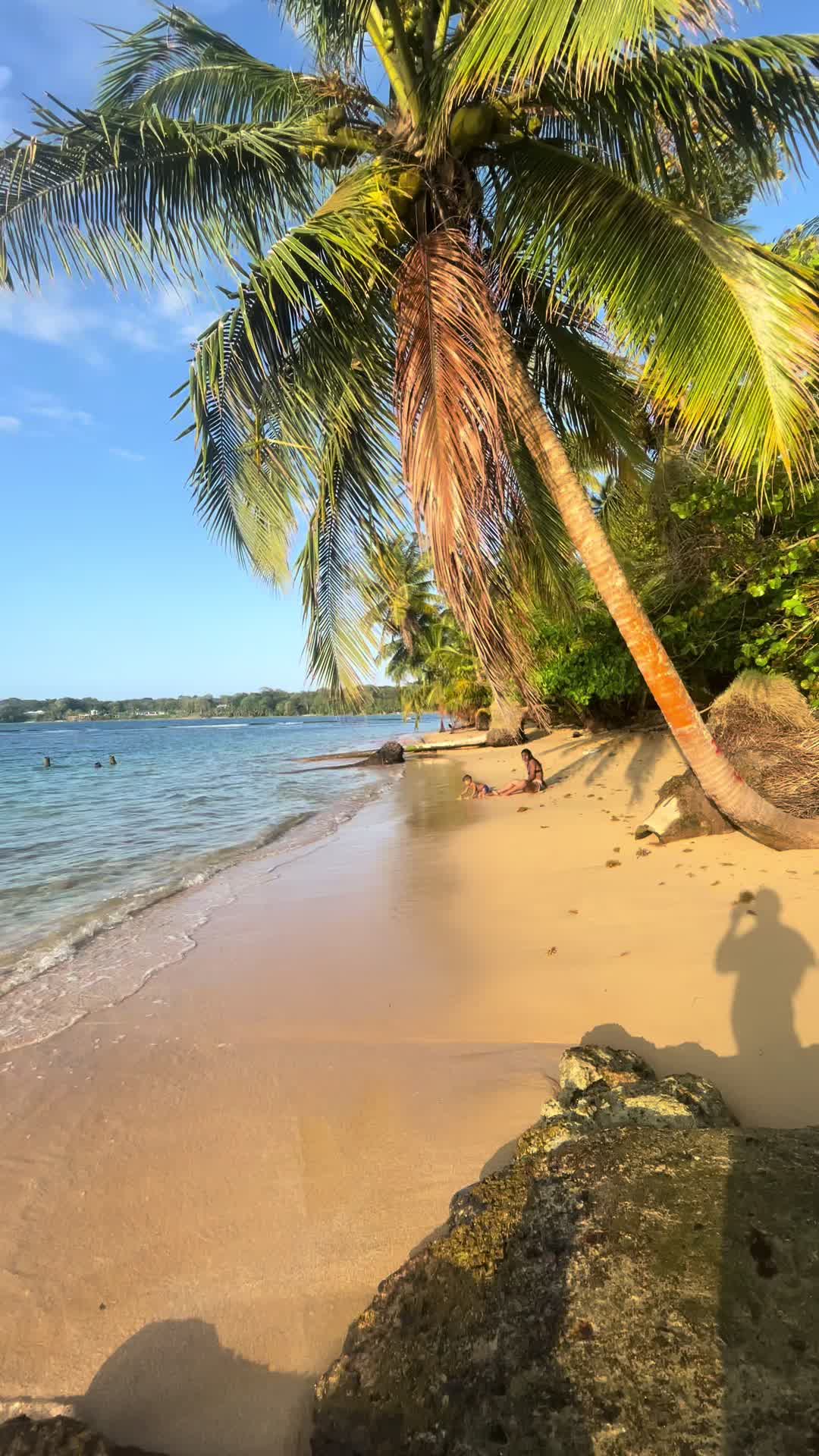 @Made in Panamá 🇵🇦