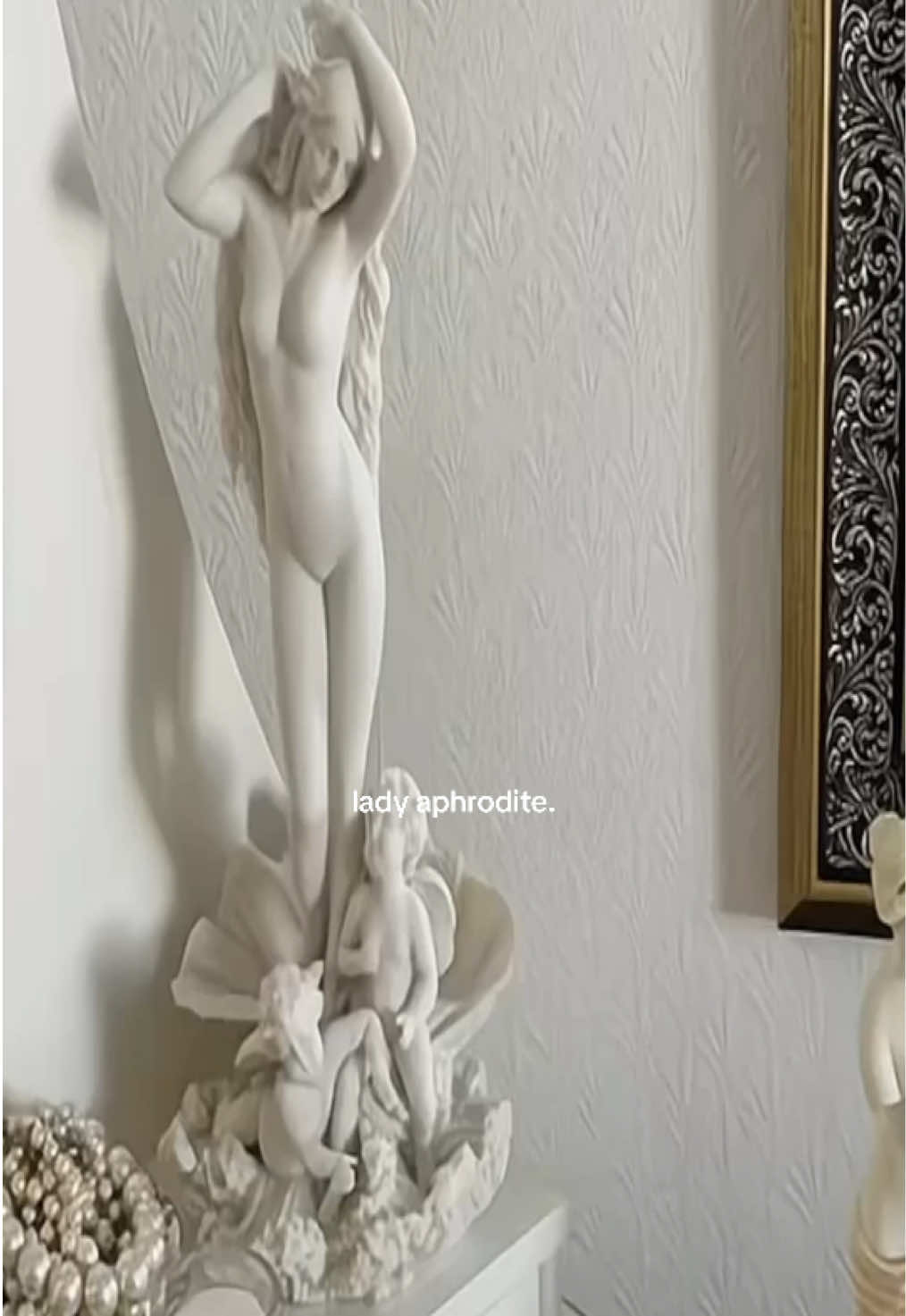 @VENUS ⋆˚꩜｡