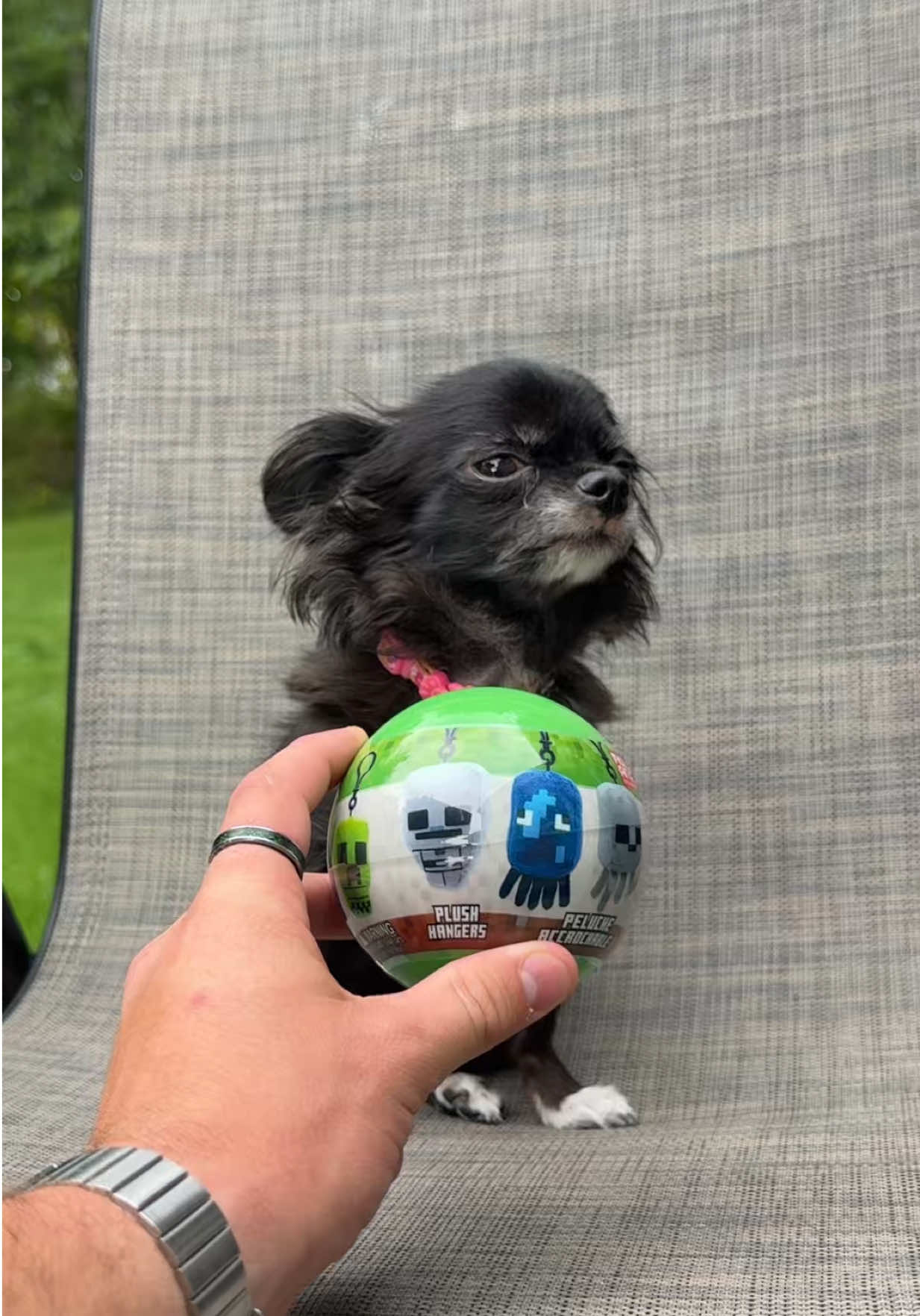 @JoshPuddinAndDozer